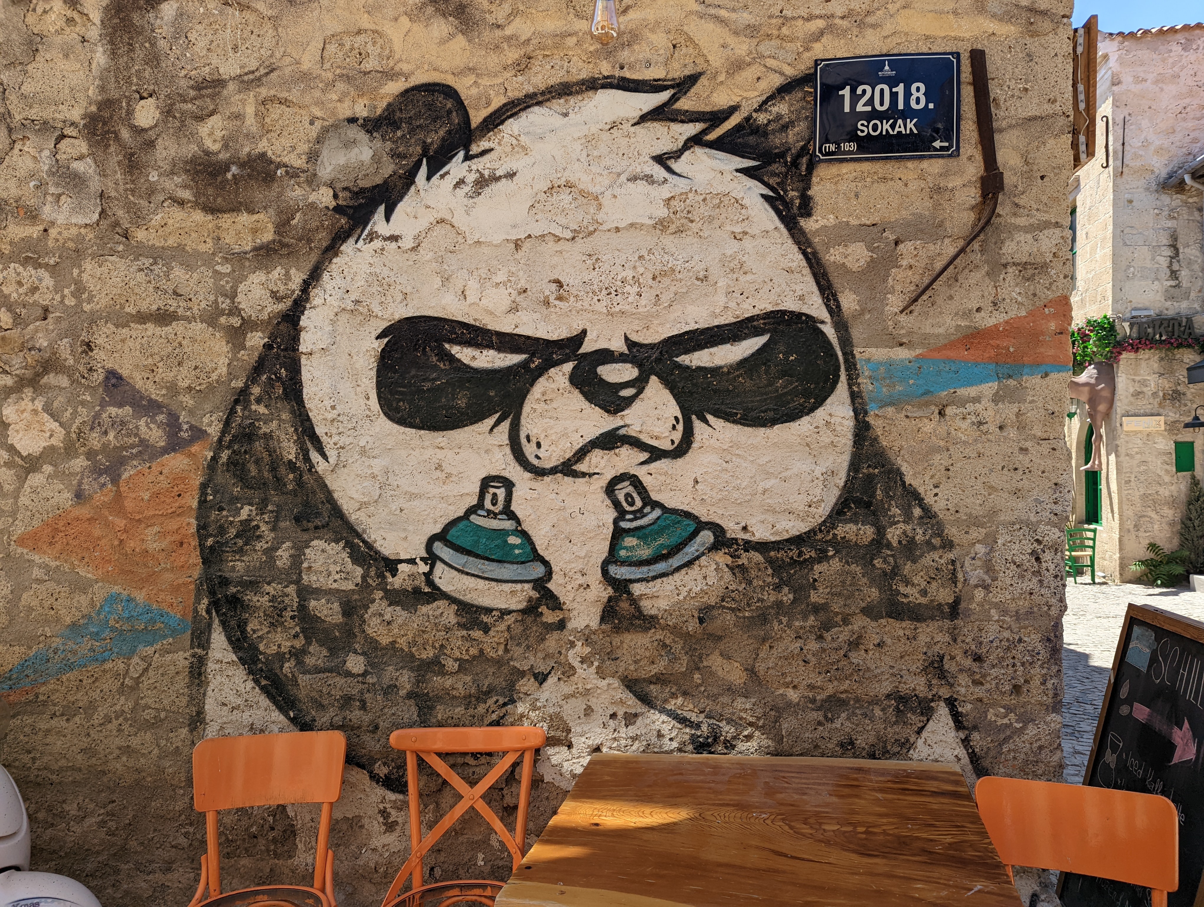 The famous panda street art we saw in Istanbul