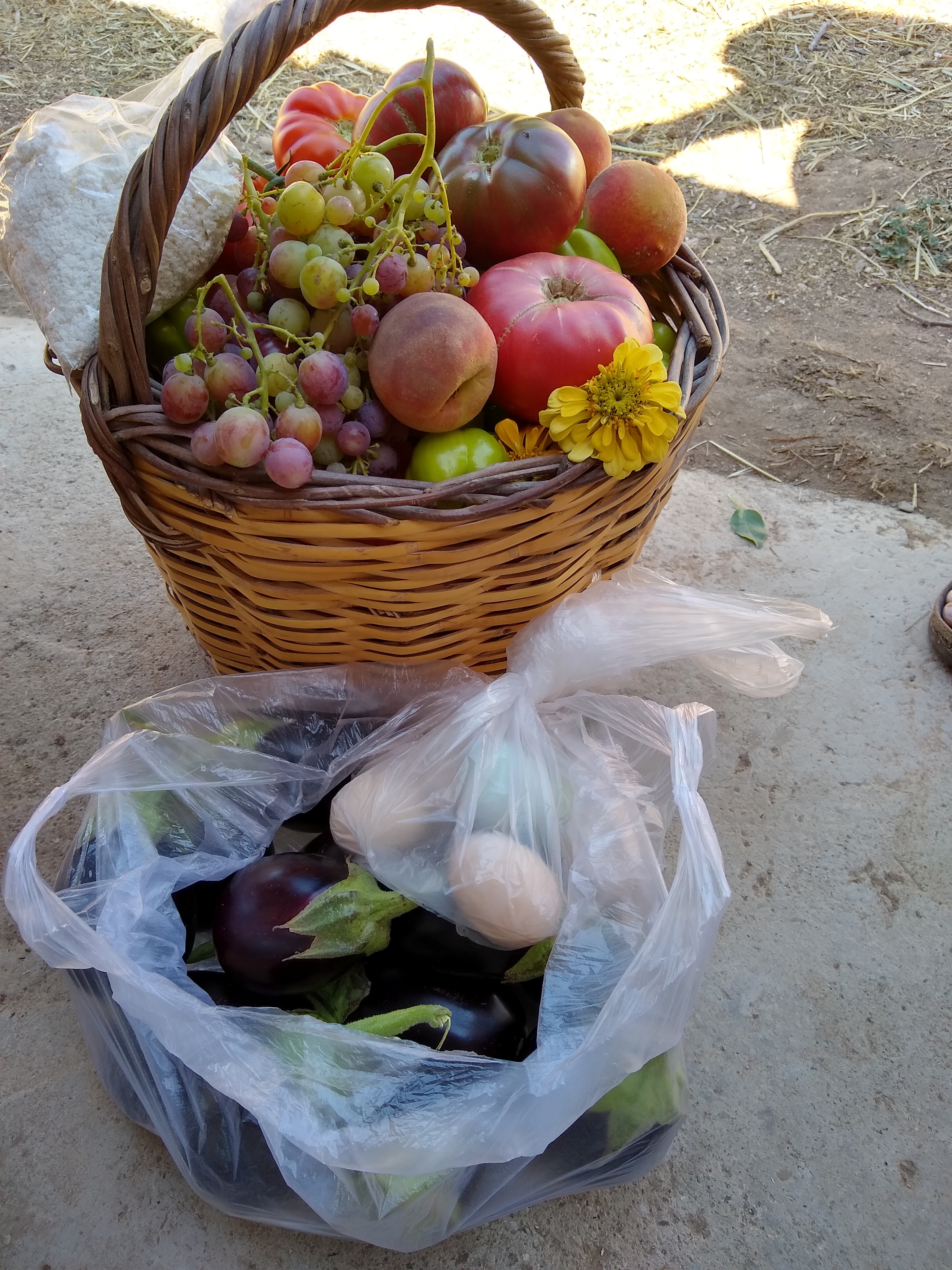 Basket of fruits and bags with eggplant and eggs