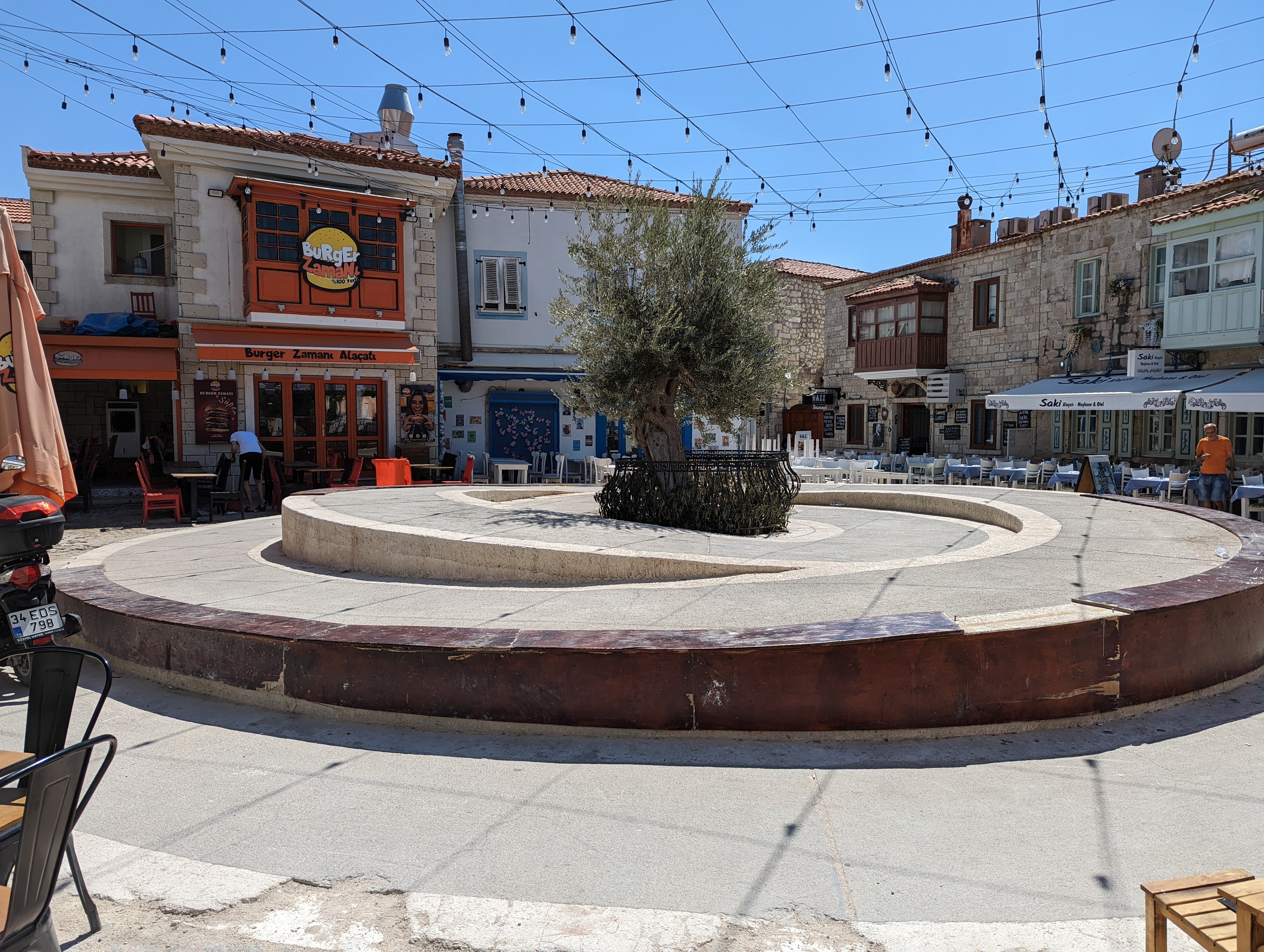 Small tree in sculptural spiral plaza