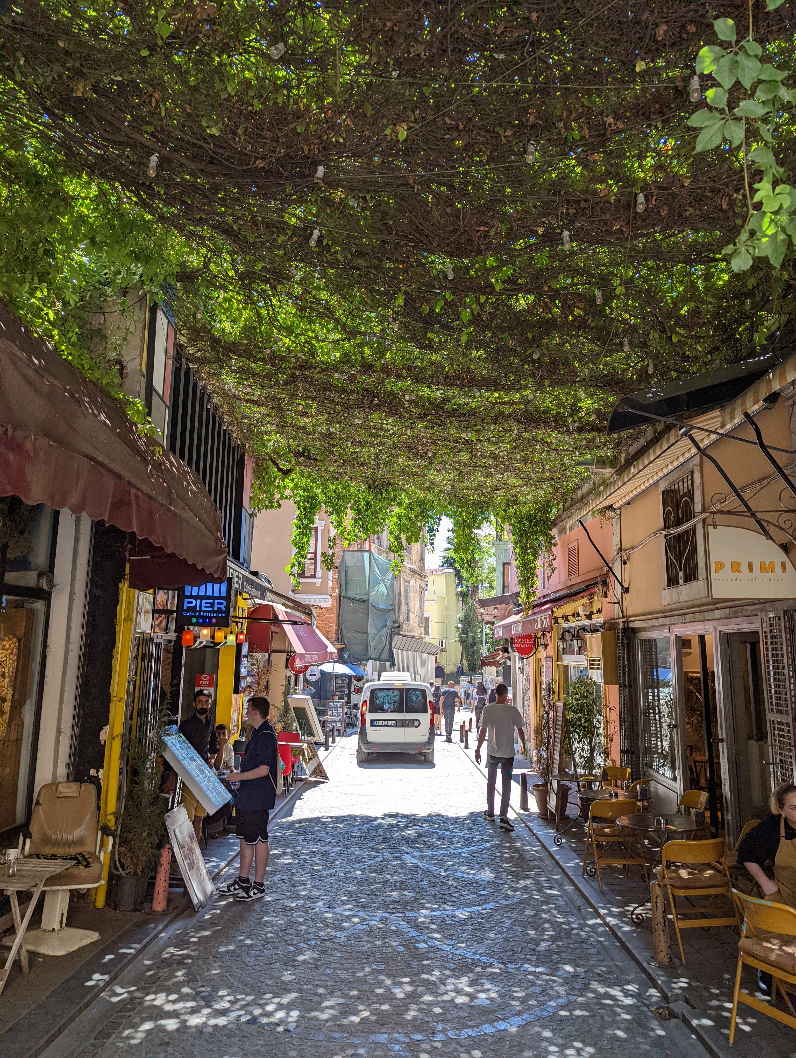 A street view in Istanbul's Balat district where plants growing on wires offer some much needed relief from the hot sun.