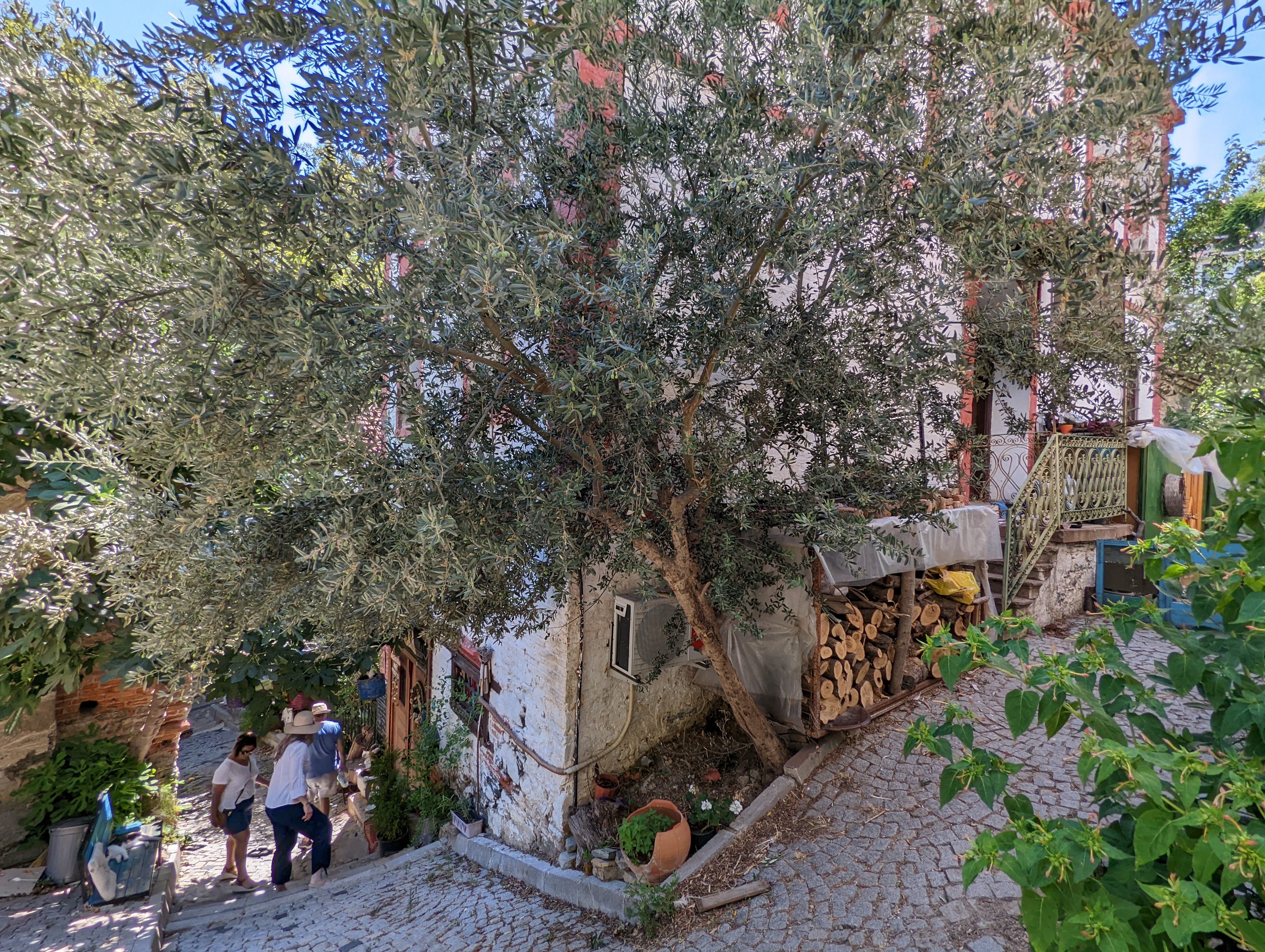 Steep streets, stone, and trees