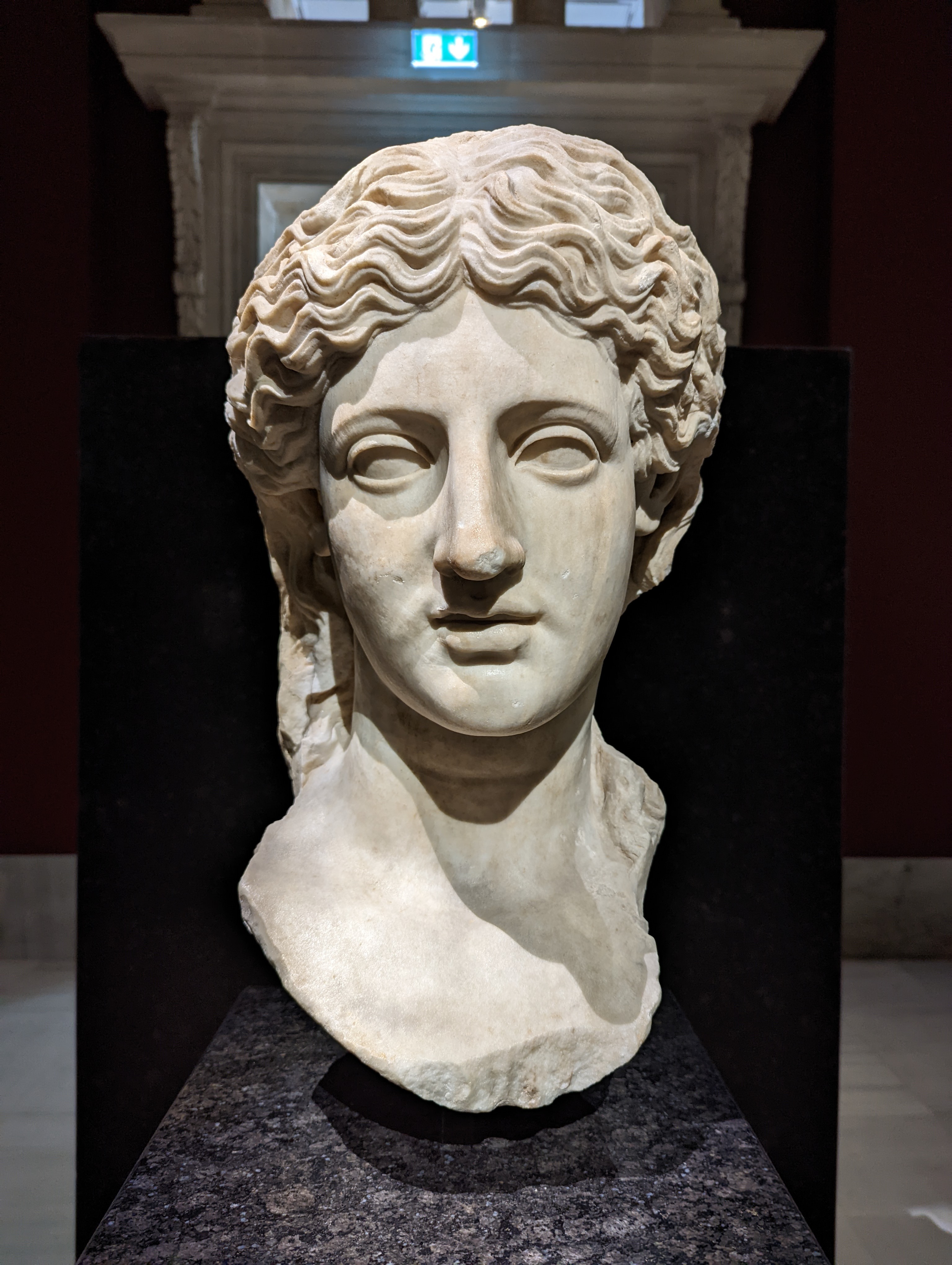 Marble Head of Aphrodite (Capitoline Type) (Afrodit Başı)