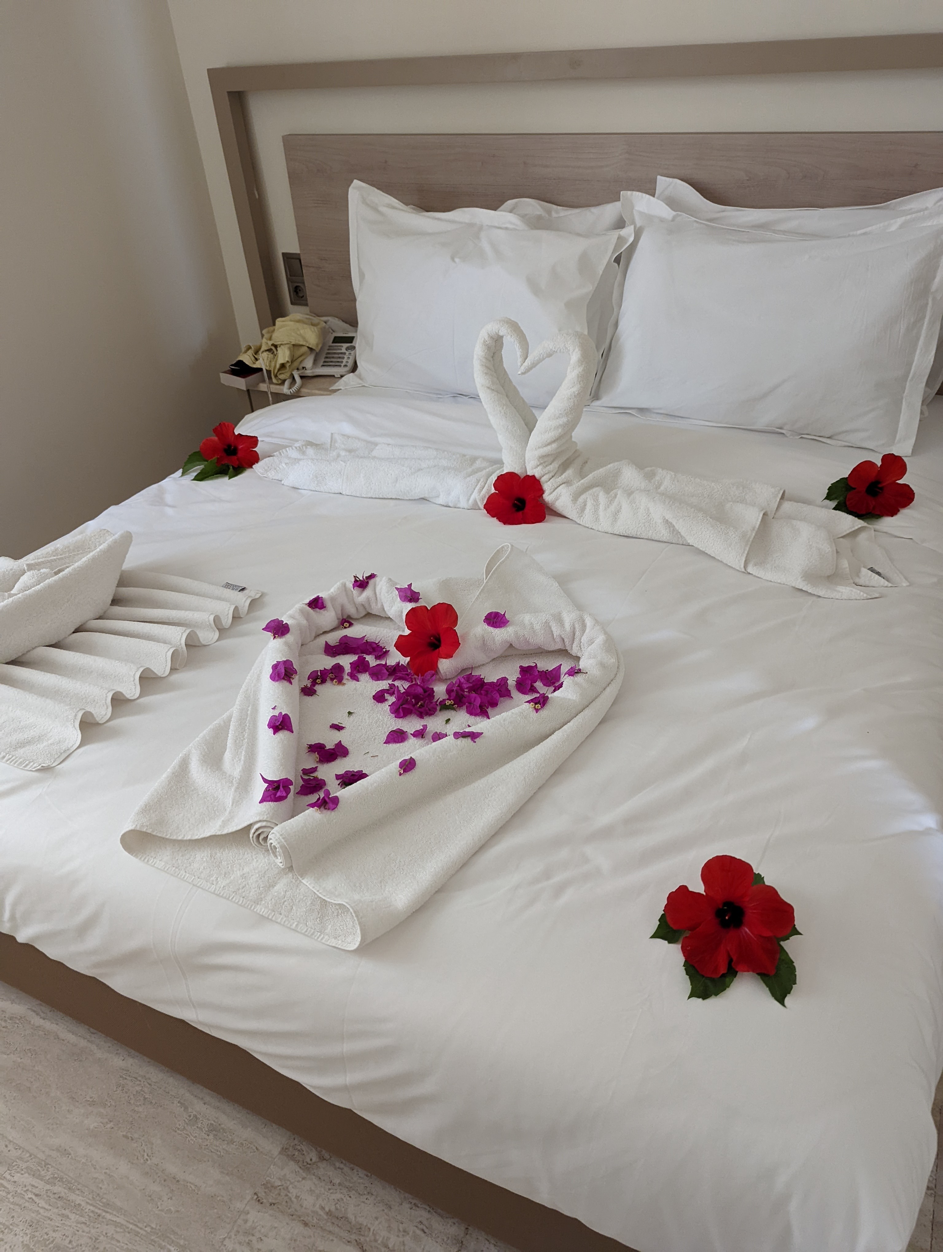 The honeymoon treatment on another bed