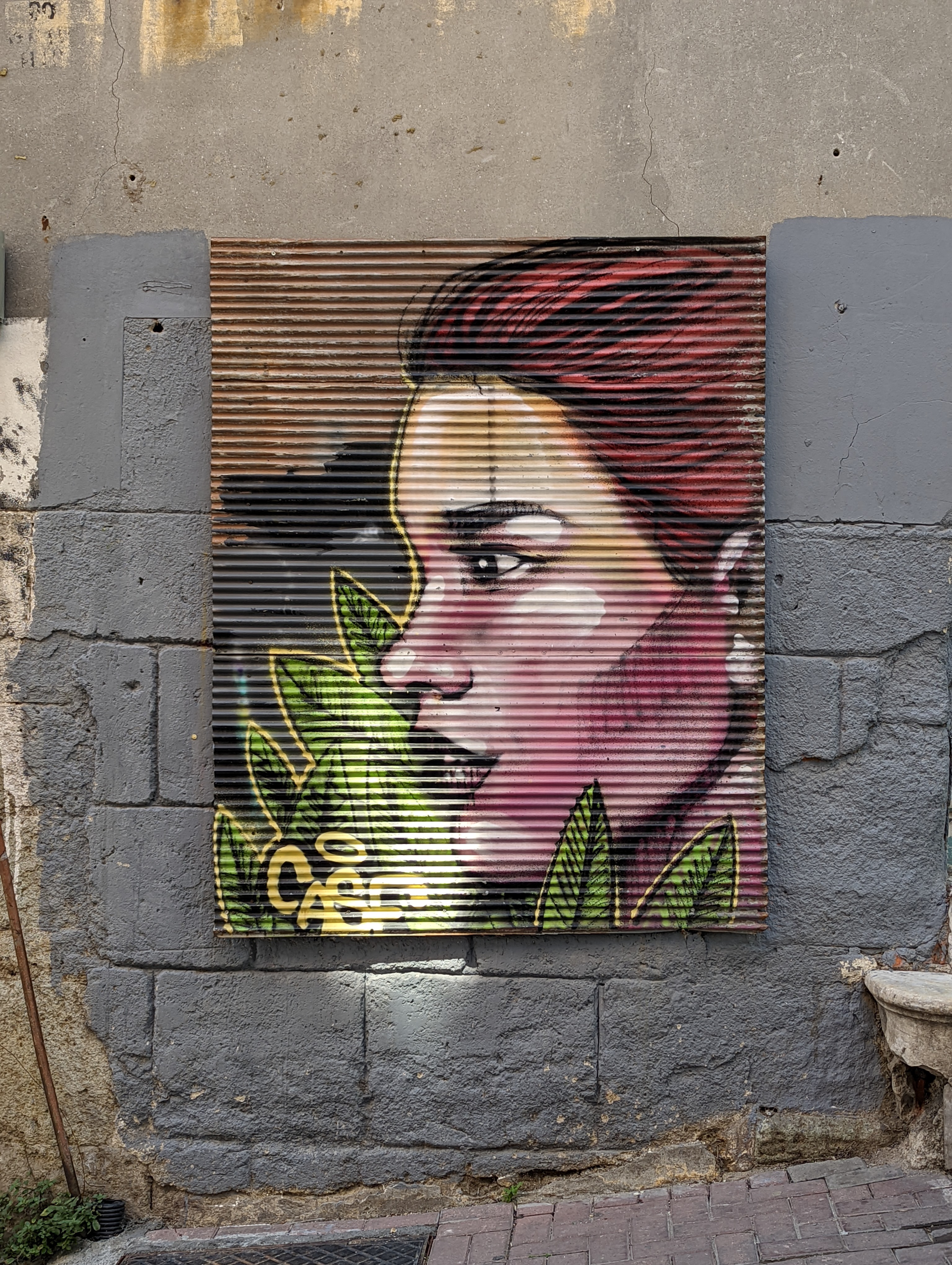 Street art in Istanbul: a woman's face and some leaves