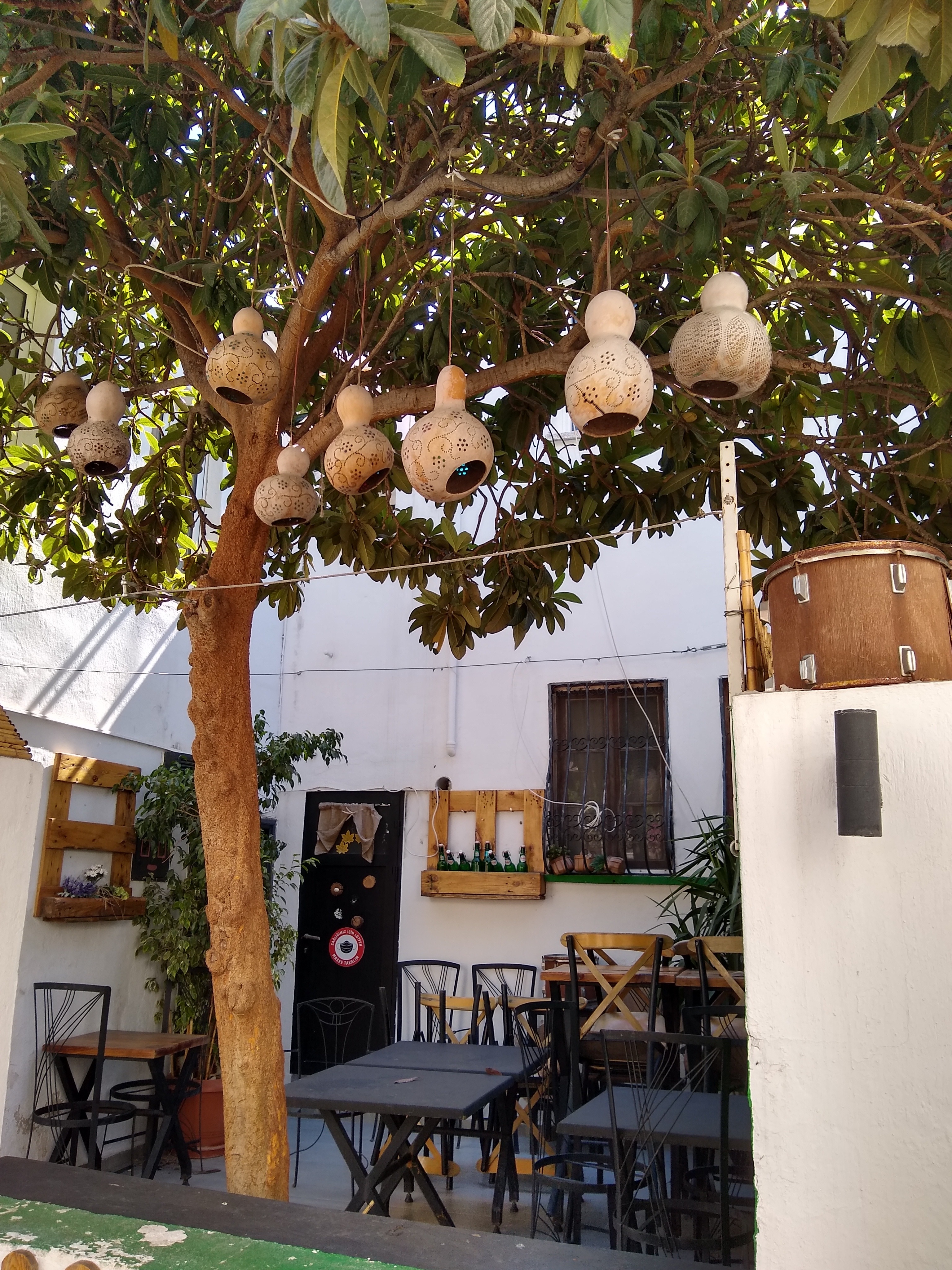 Carved gourds adorn a tree