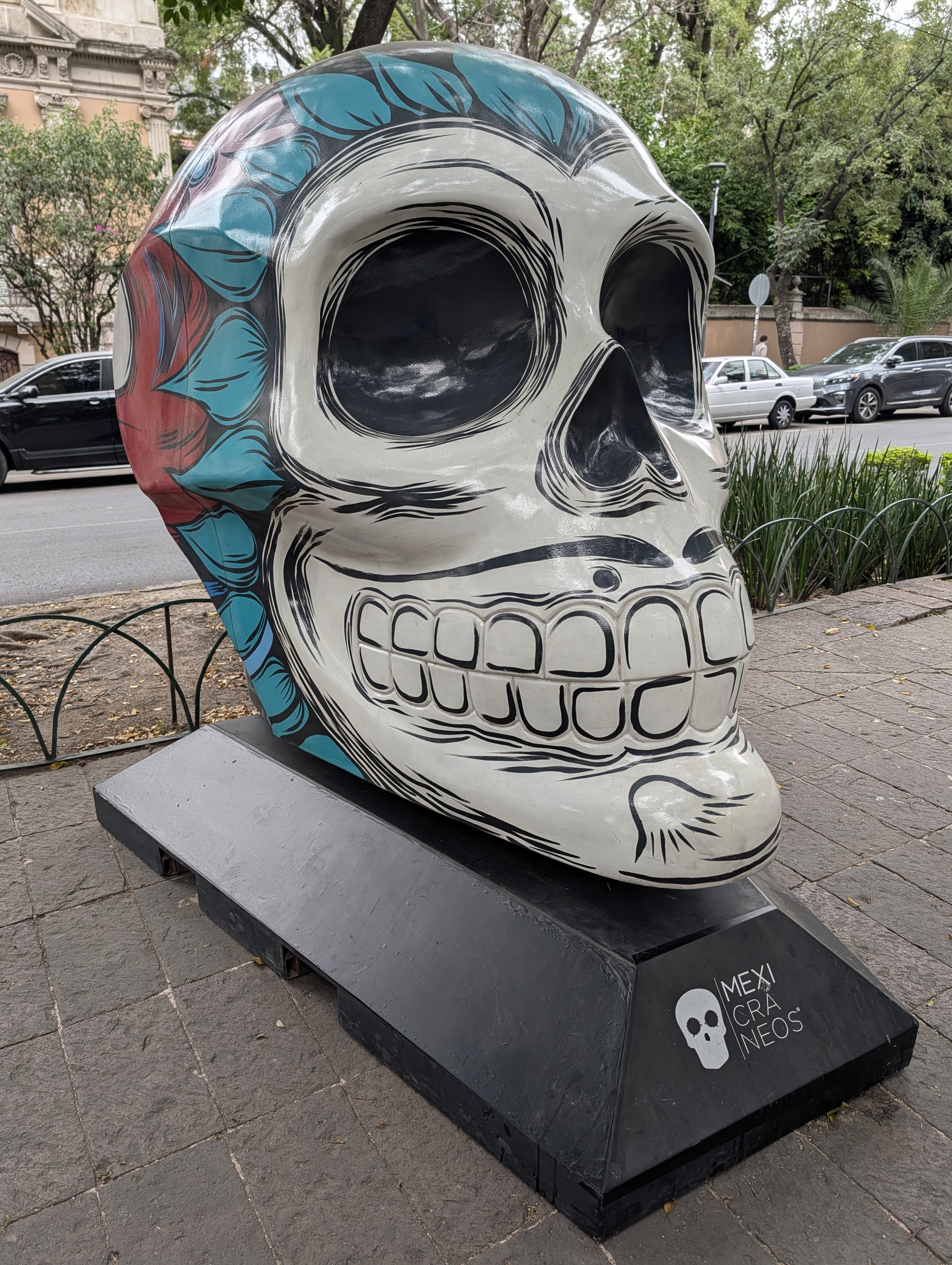 Another skull from the art project