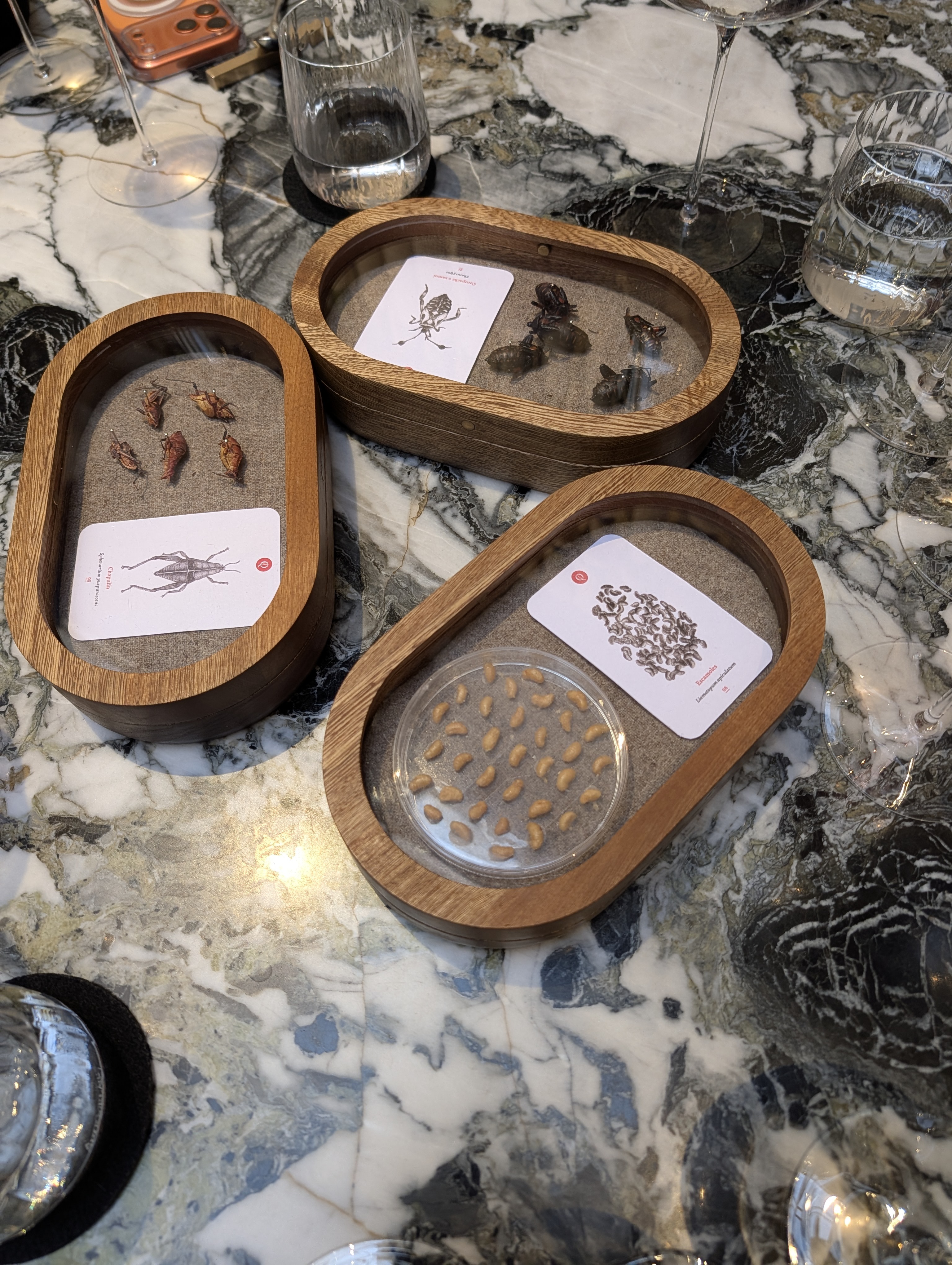 The insects on the tasting menu at Quintonil.  Note: they are ground up before you eat them!