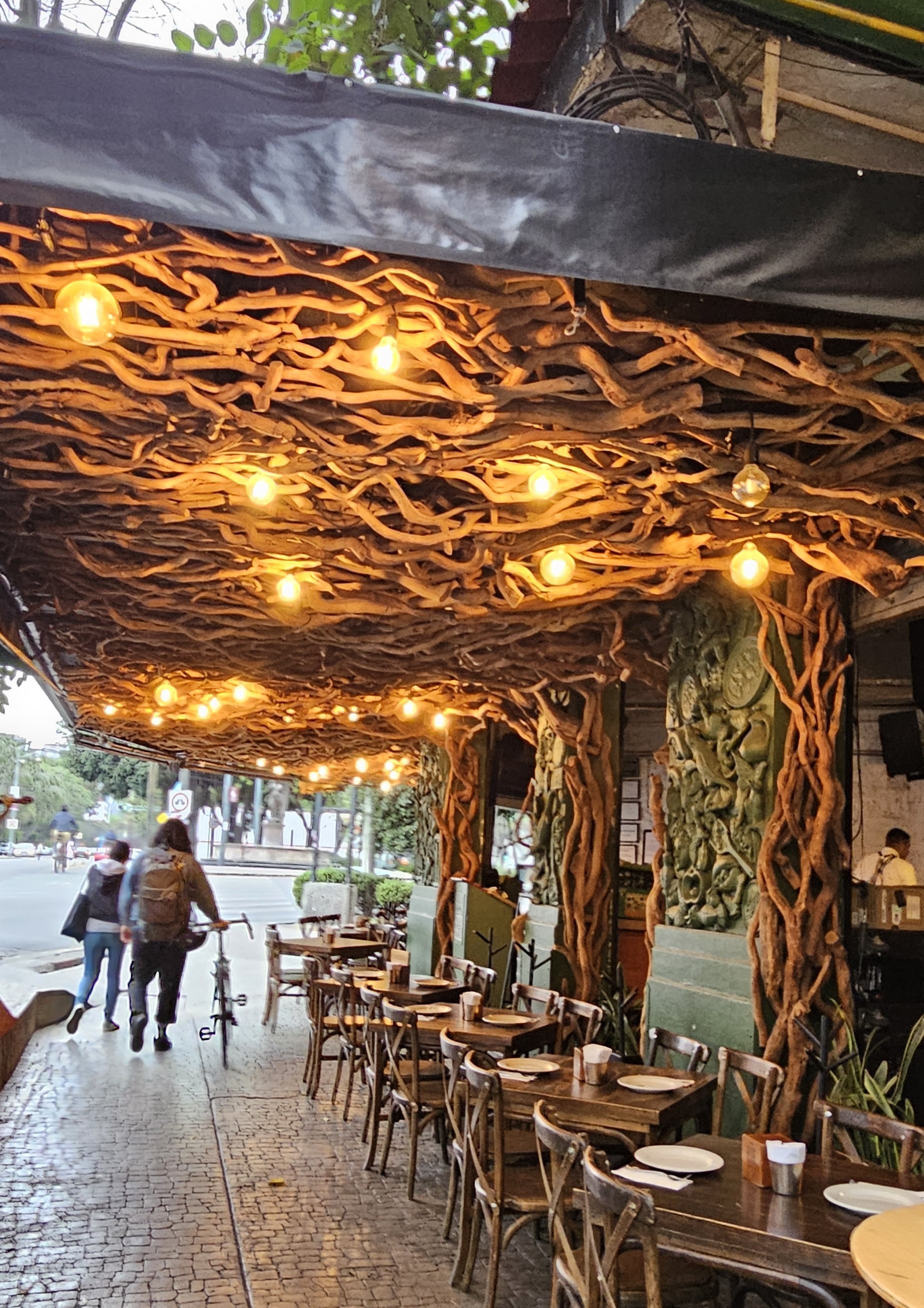 A ceiling decorated with roots