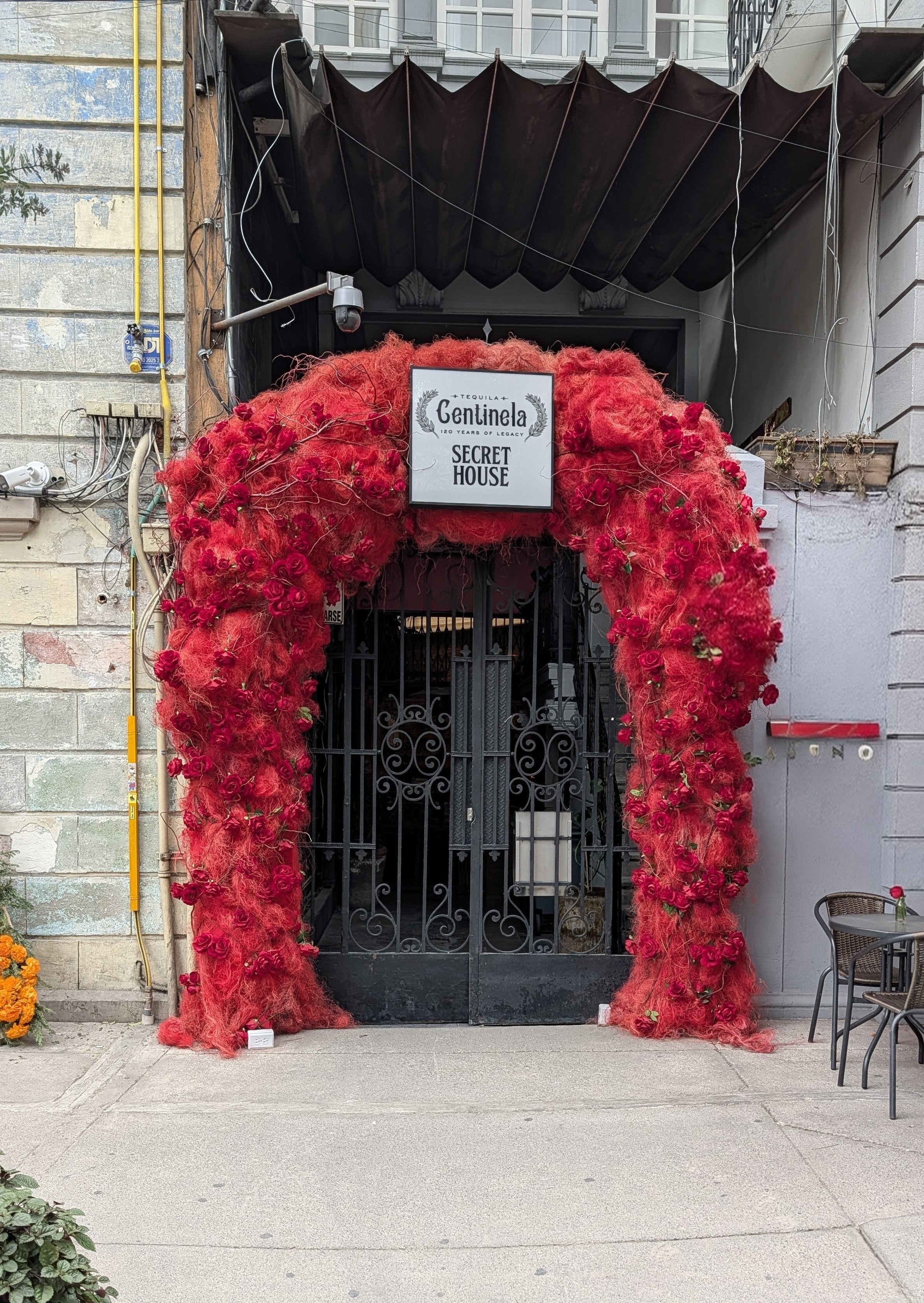 Gated doorway surrounded by red flowers