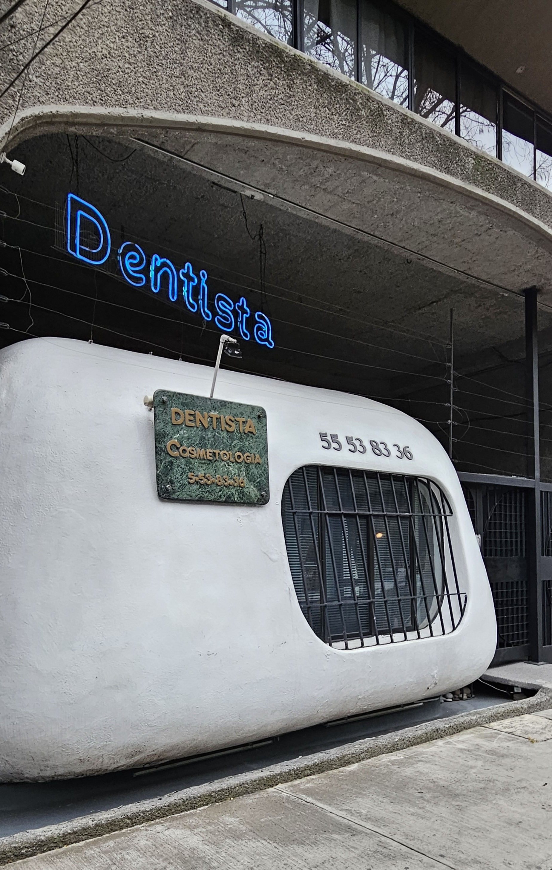 The local dentist