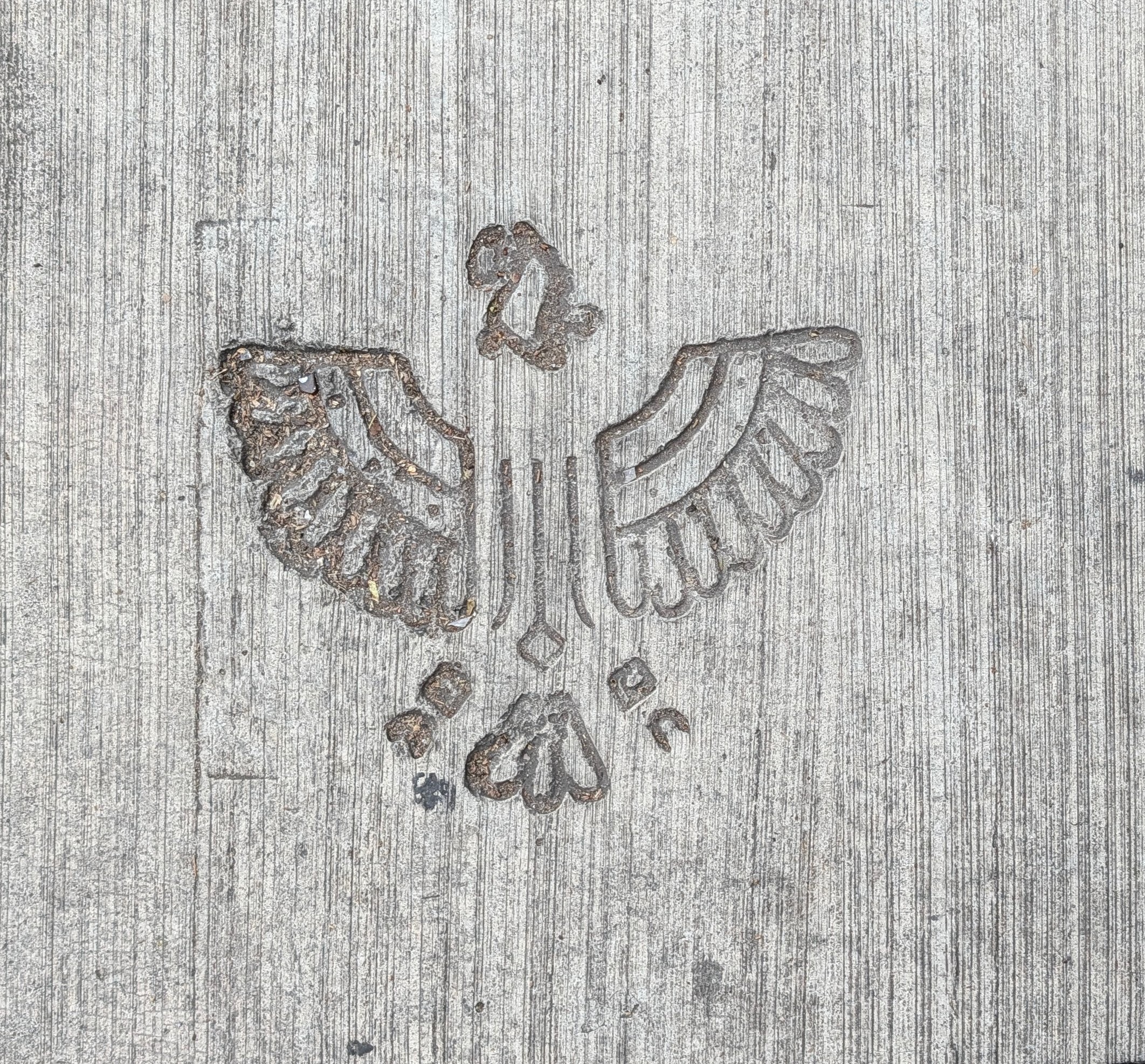 A design stamped into the sidewalks in CDMX.