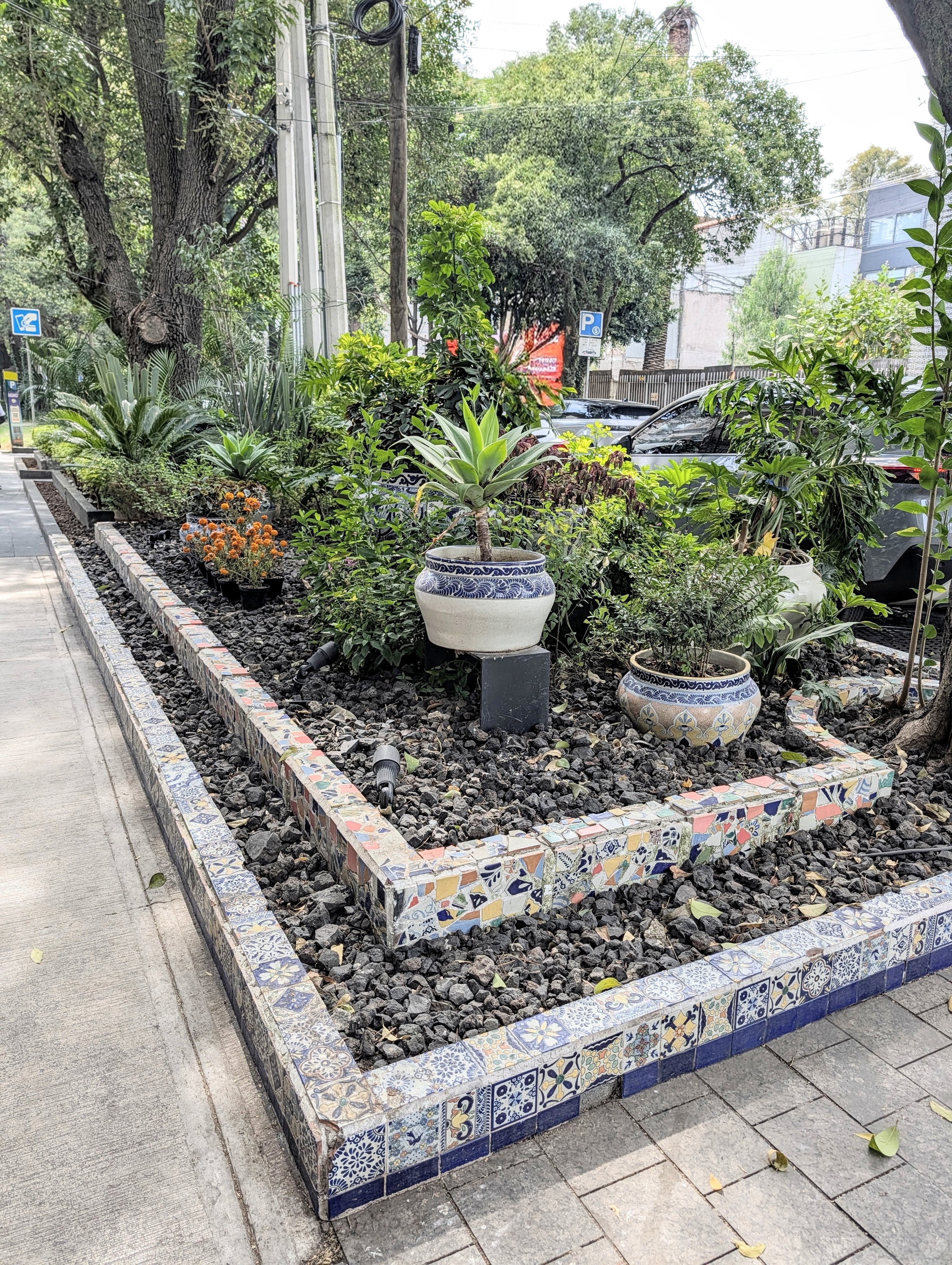 Lovely sidewalk garden in Palanco neighborhood