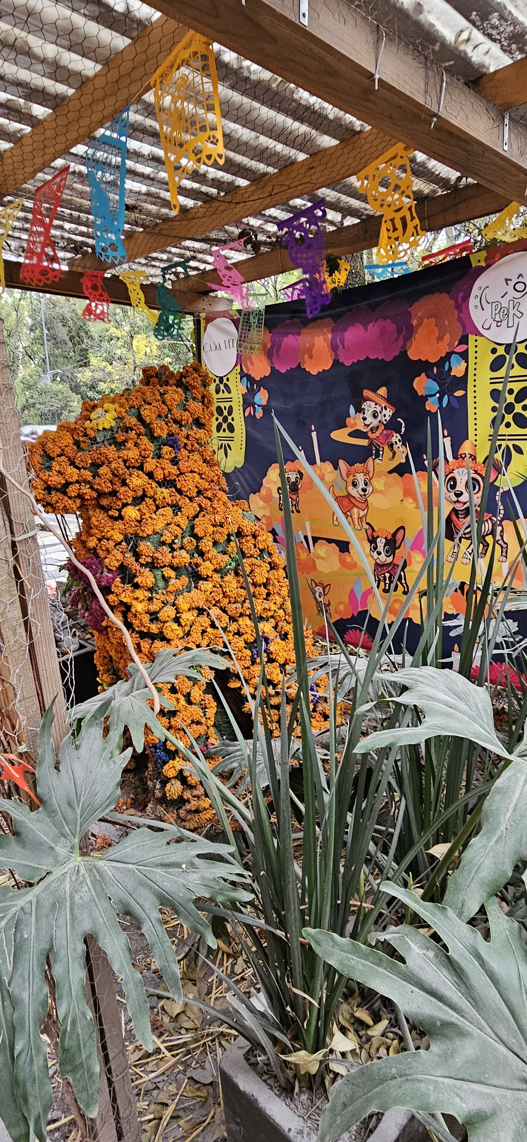 A dog made of marigolds