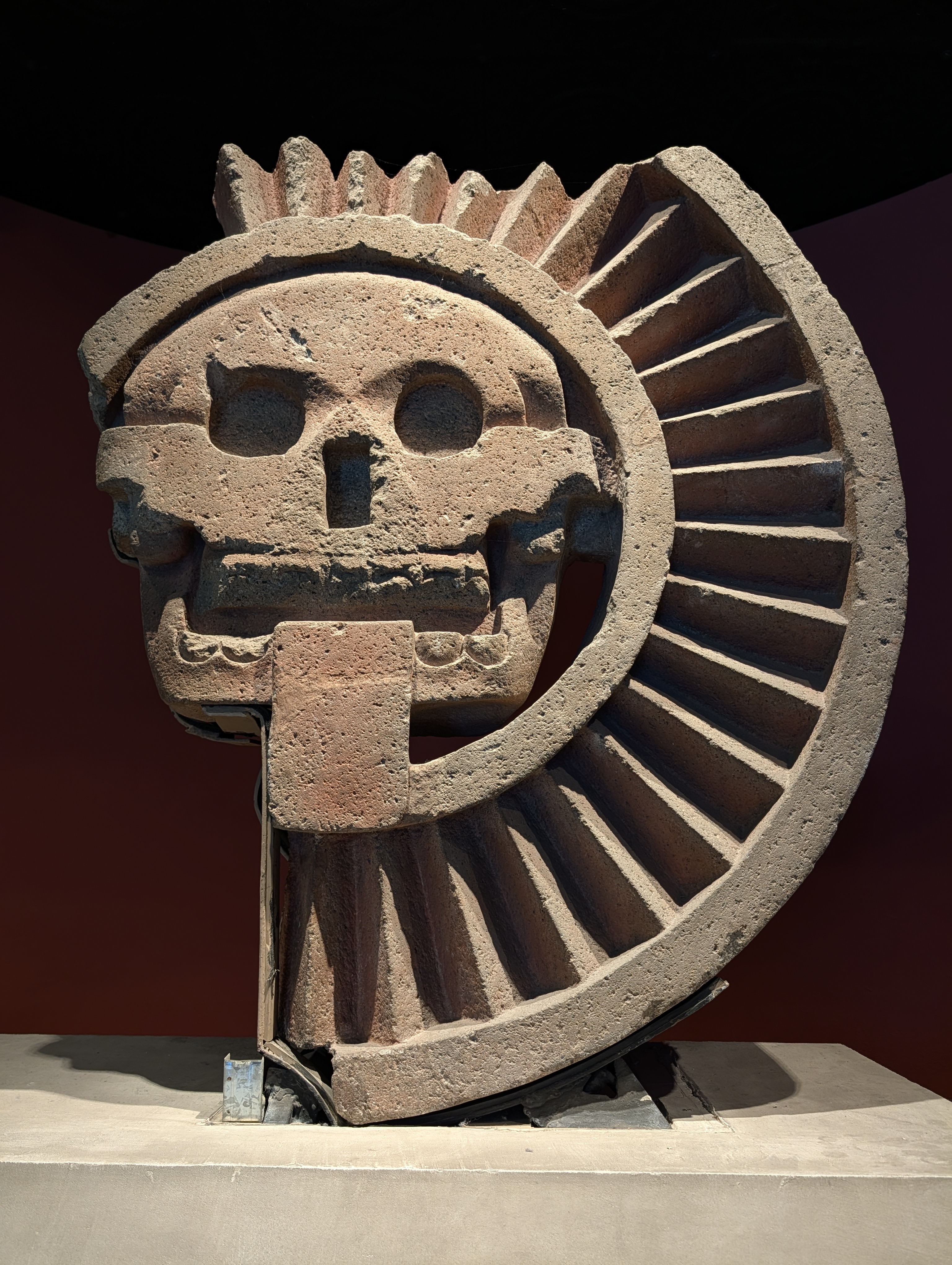 A carved stone depicting a skull emerging from a solar-radiating disc — most consistent with representations of Tonatiuh (the sun god).