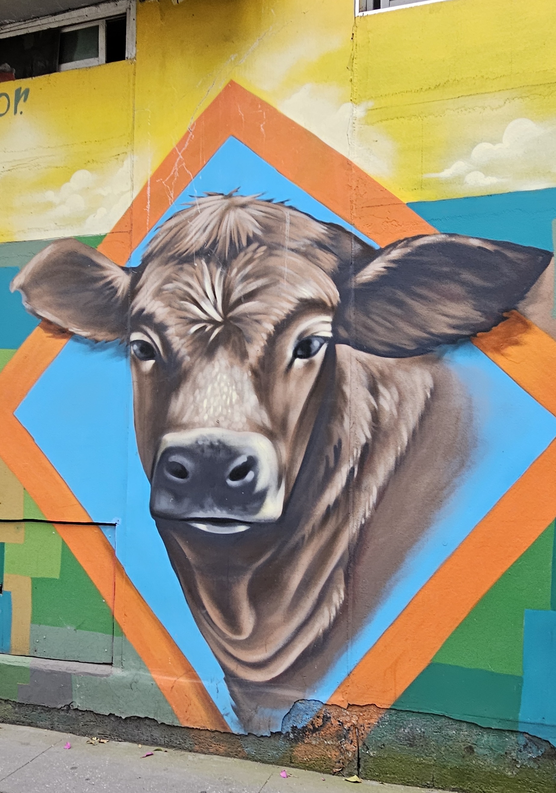 Cow street art