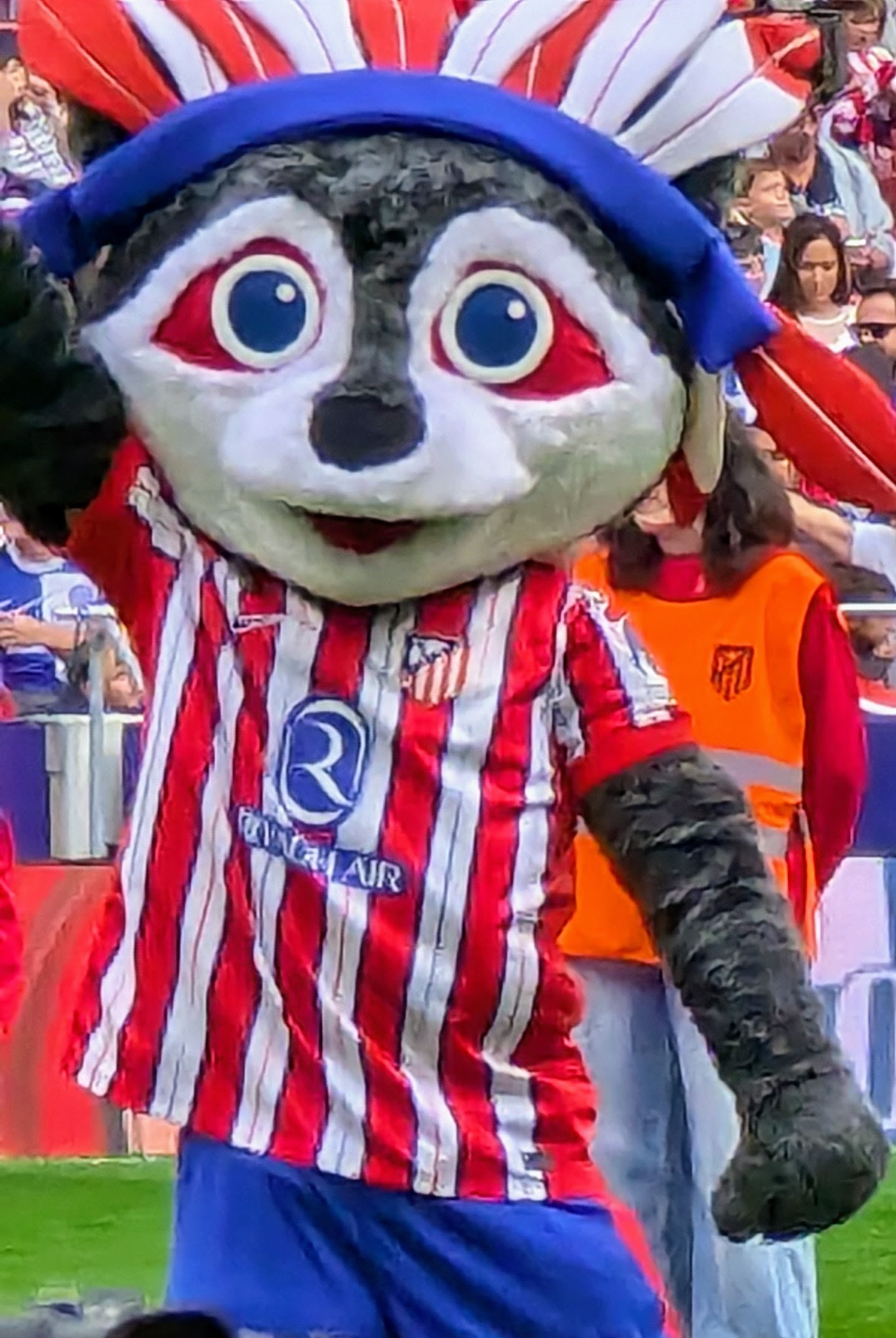 Atlético mascot Indi, a raccoon with Apache headdress