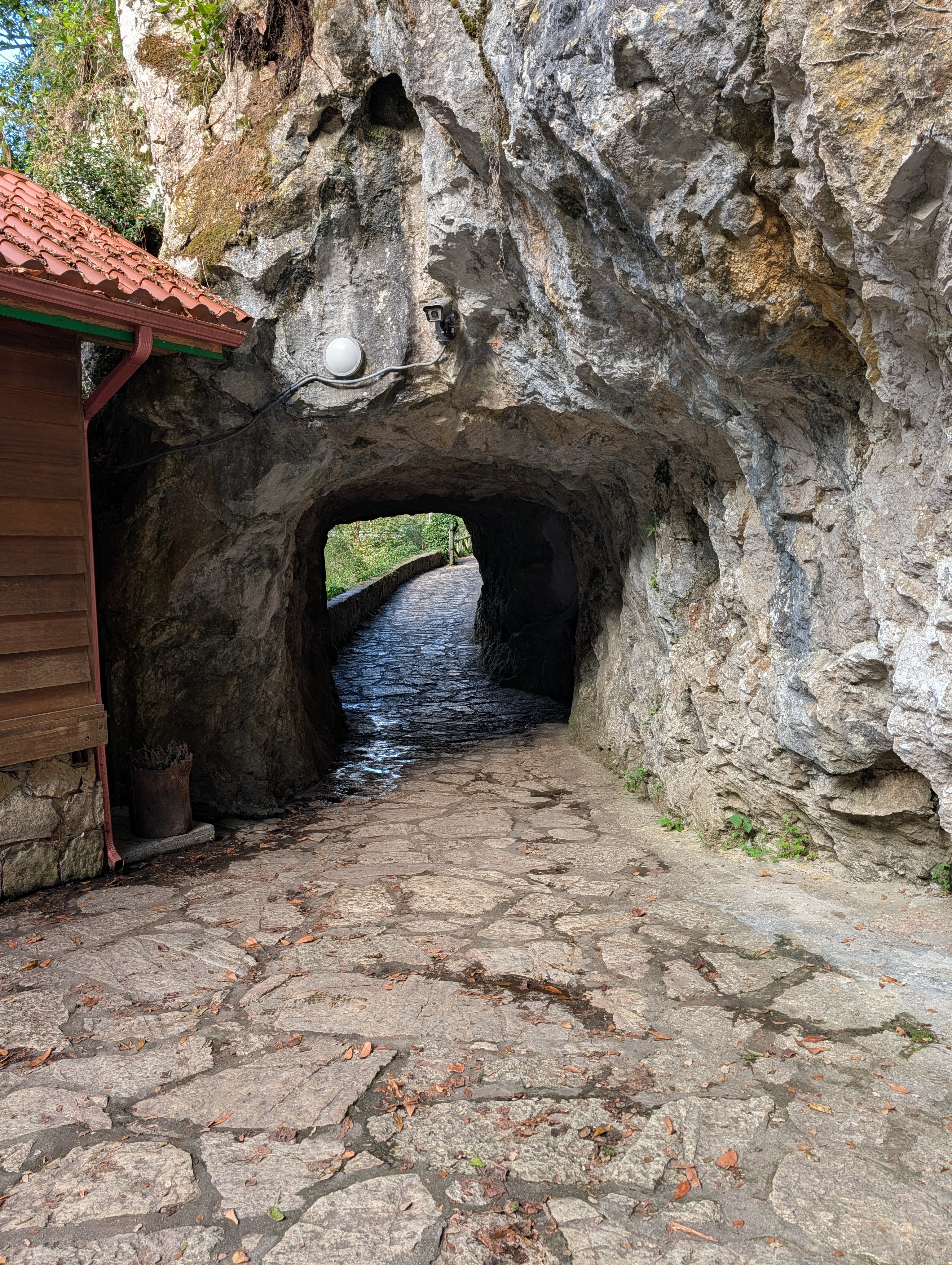 A cave (tunnel) on the way to the cheese cave