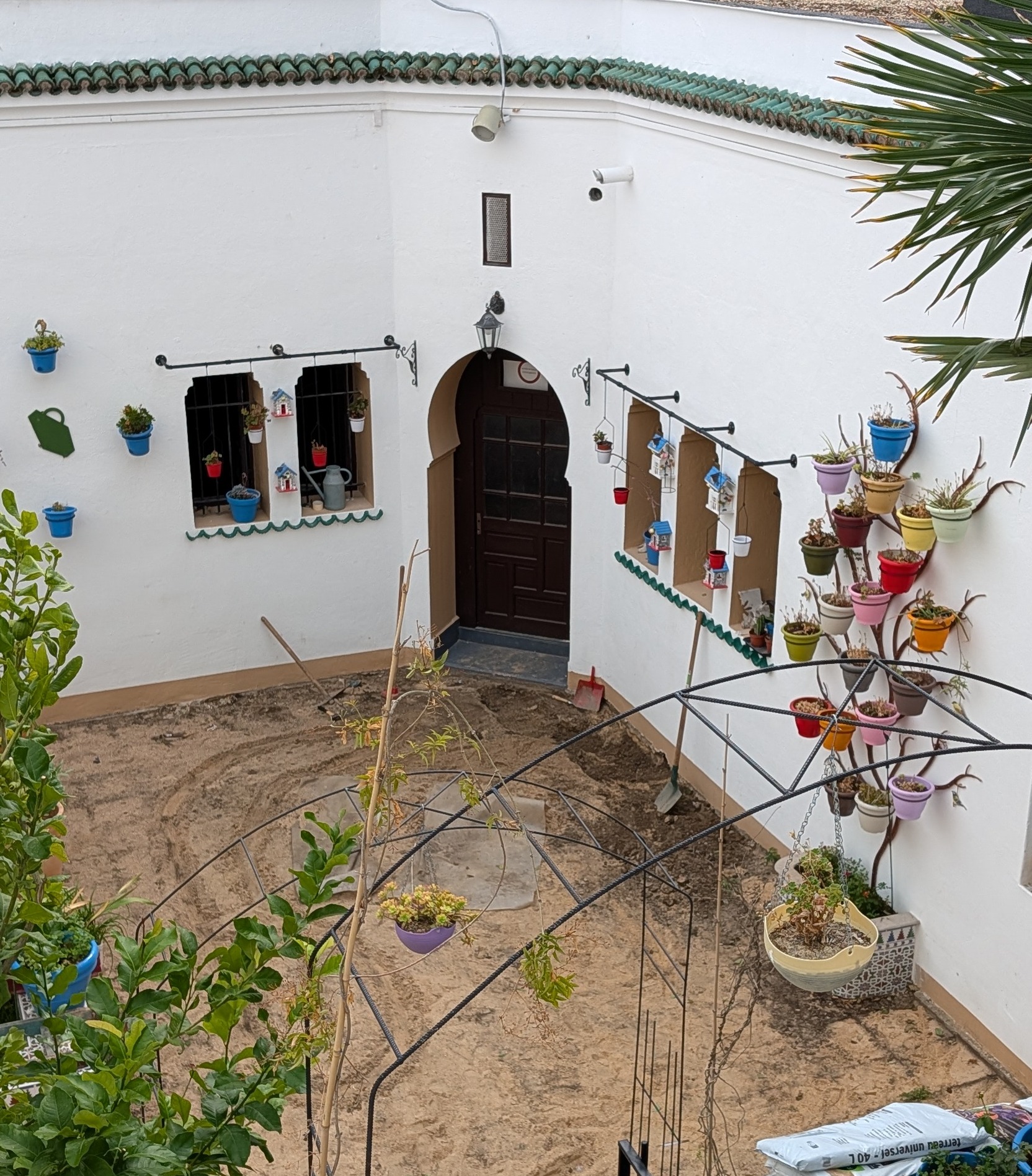 Colorful planters on an interior courtyard
