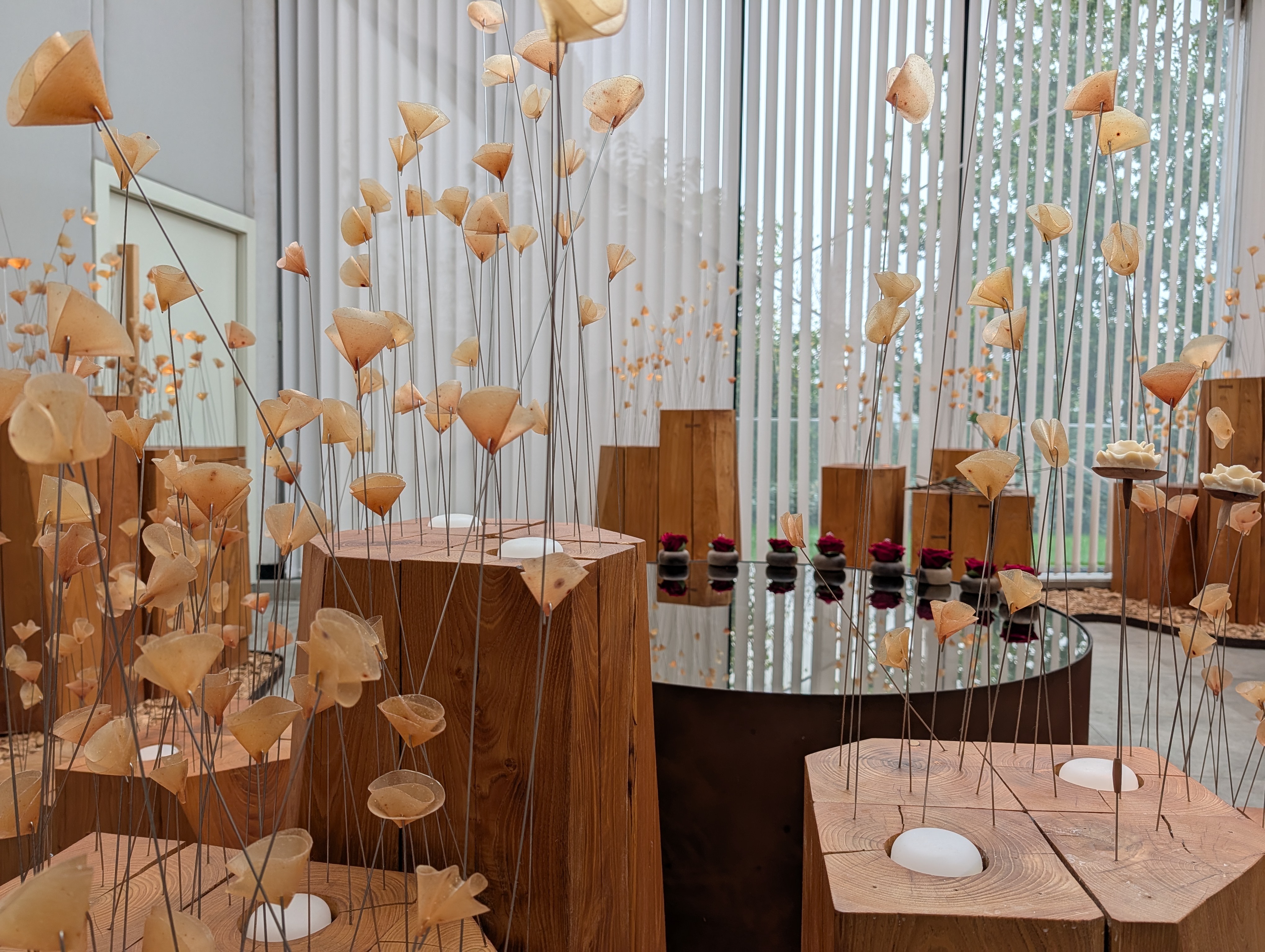 The beautiful garden room filled with citrus-rind flowers