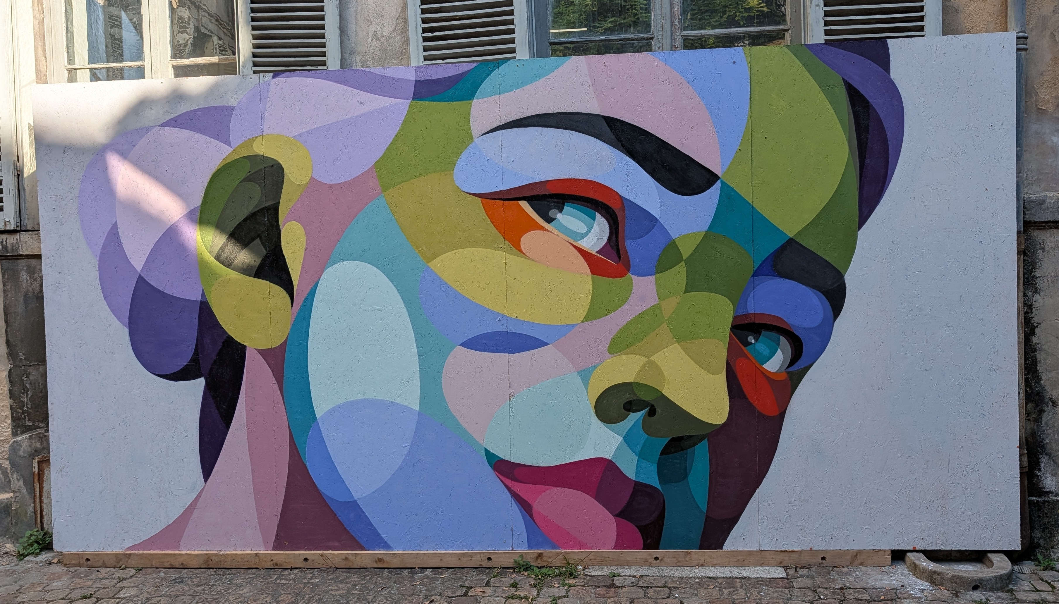 Street art face