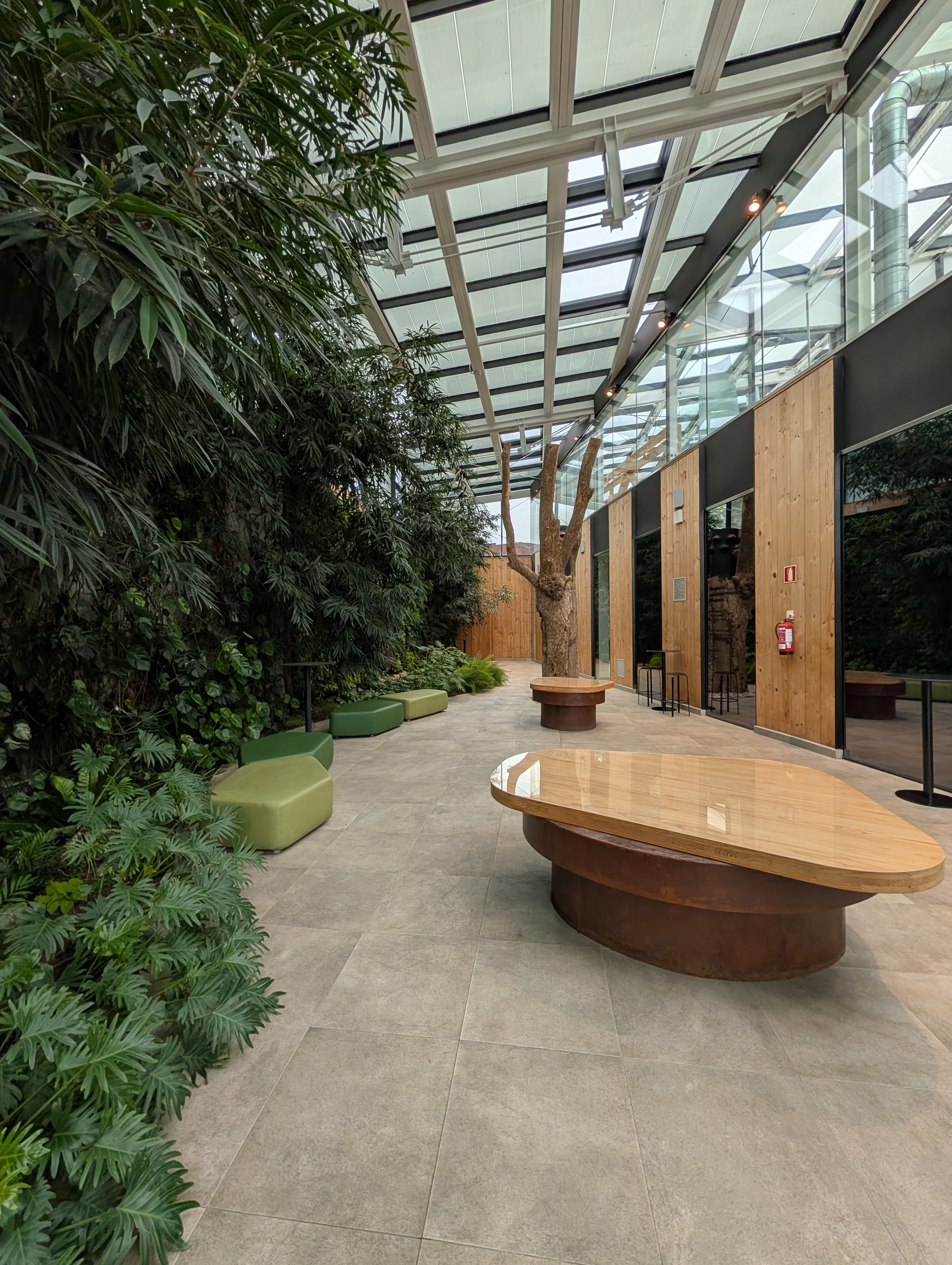 Forest room / foyer