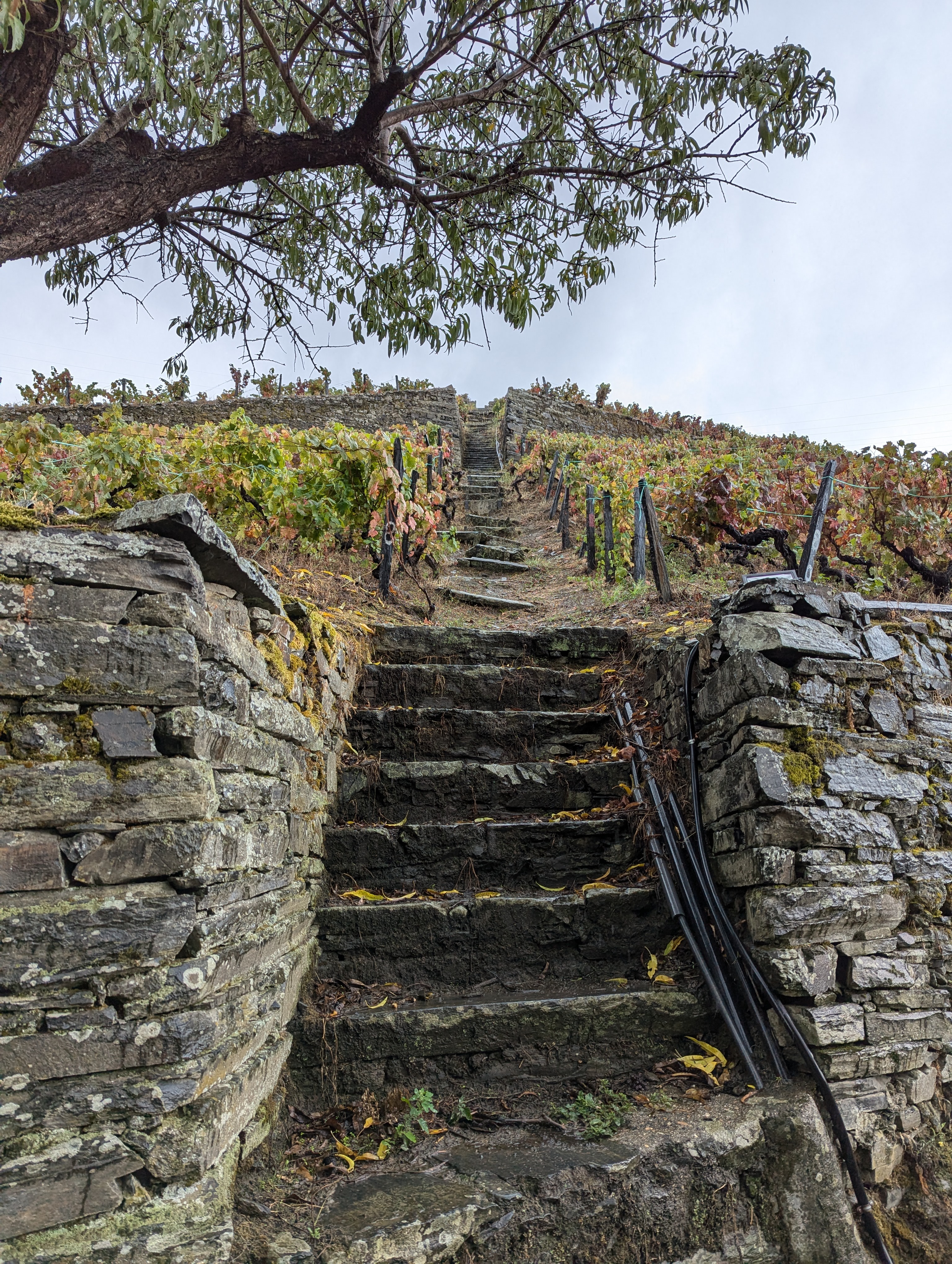Stone walls and stairs at Quinta de Marrocos vineyards