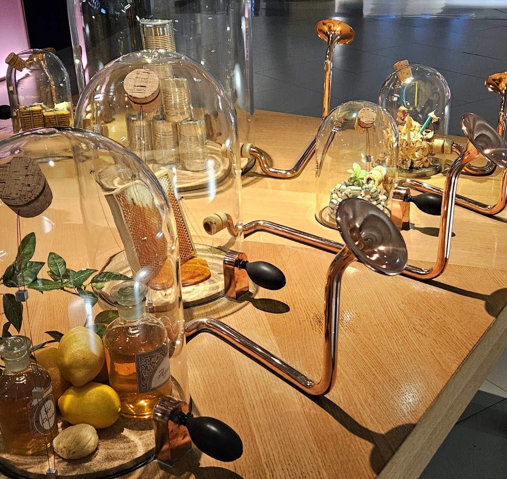 Glass domes enclosing items to be sniffed for scents