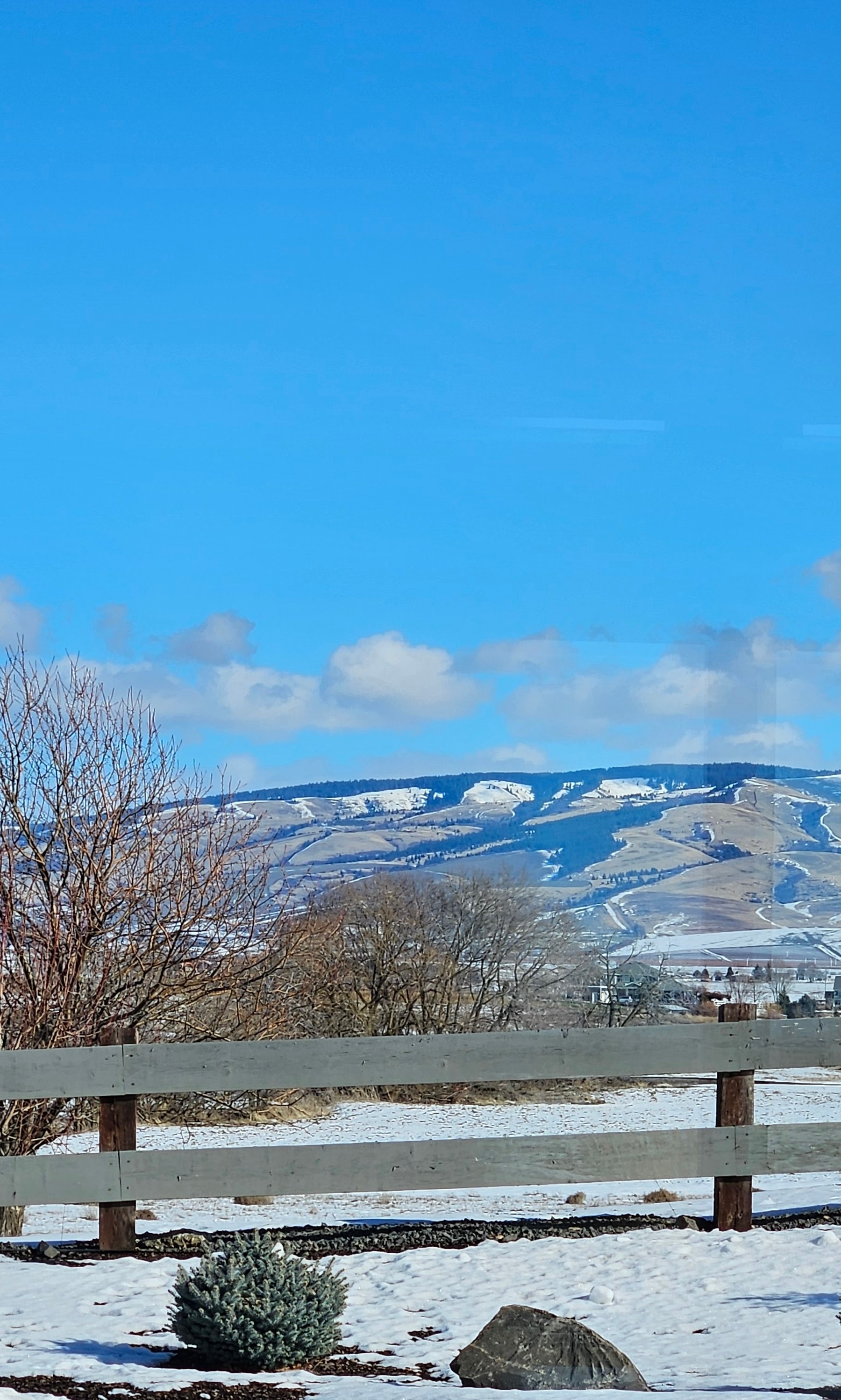 View of Blue Mountains from Caprio Cellars