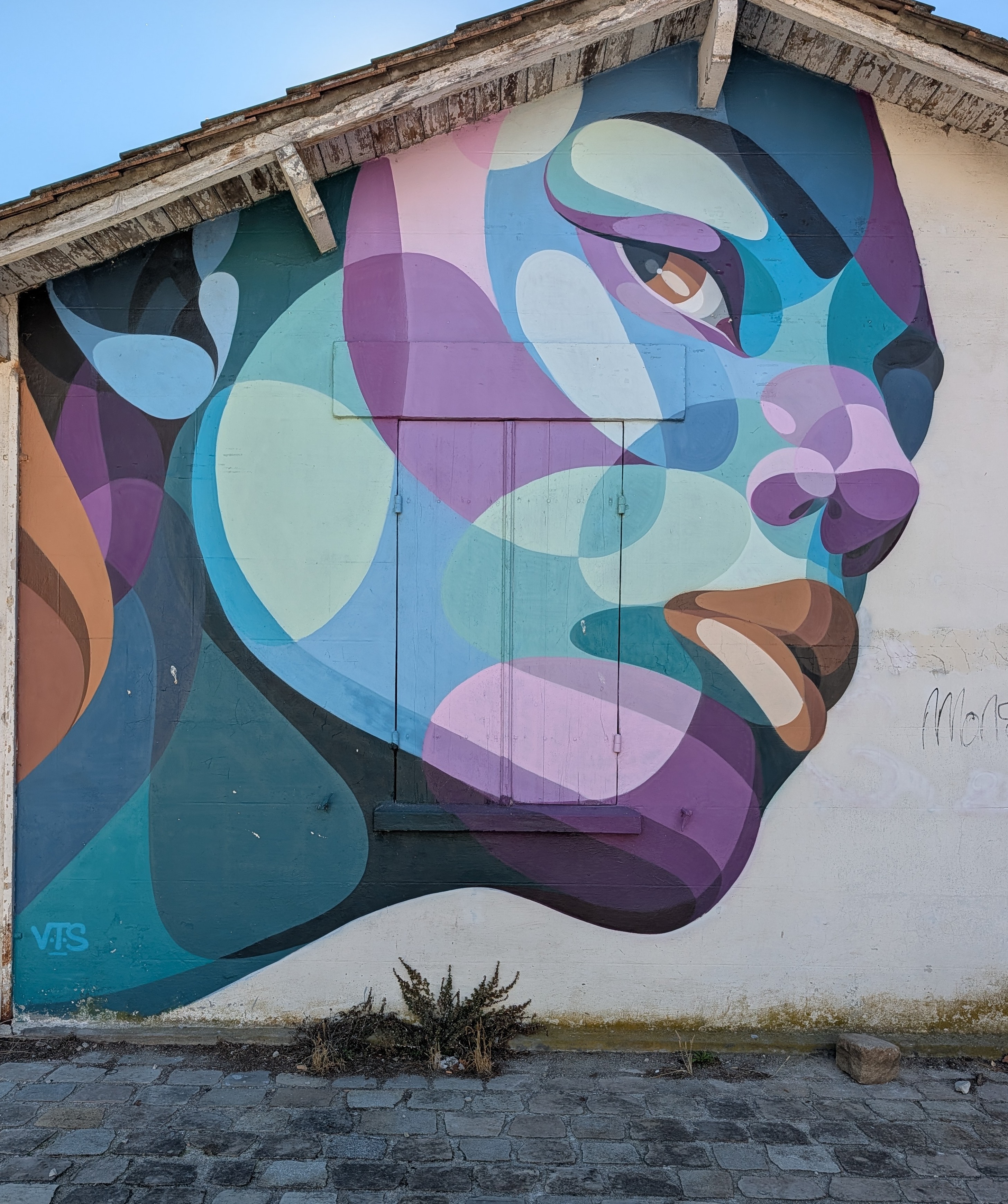 Street art face