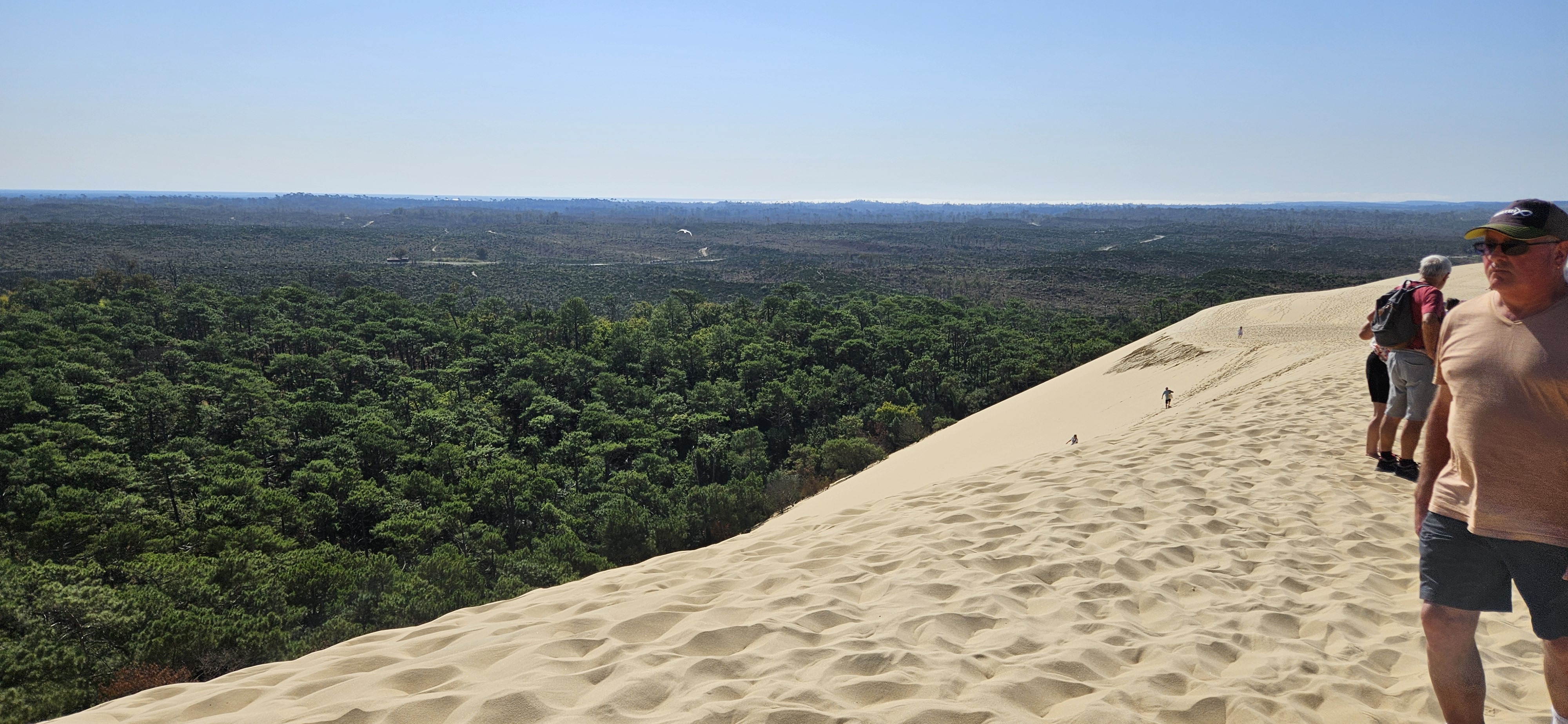 Land-ward side of the Dune of Pilat