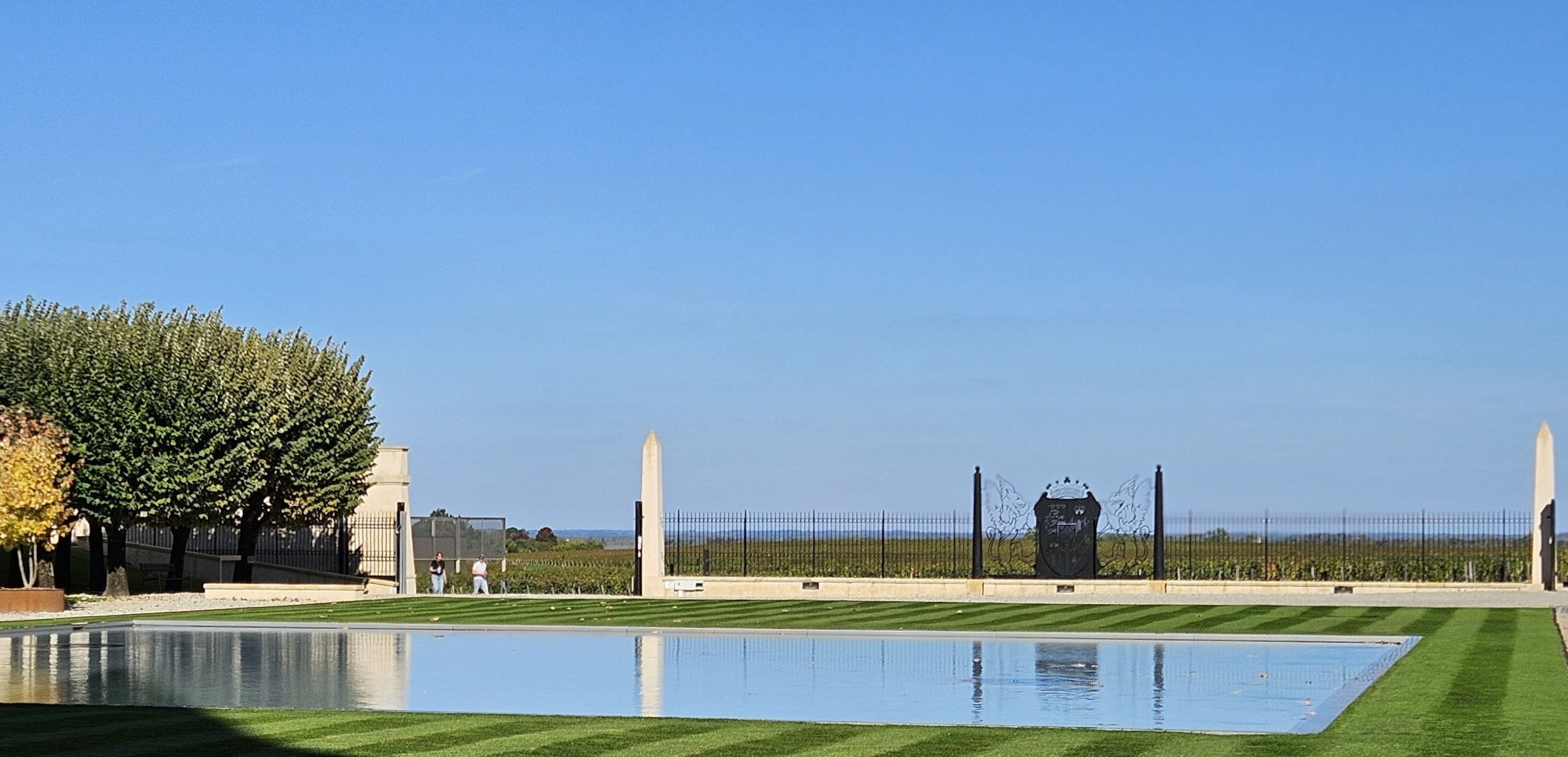 Serene reflecting pool