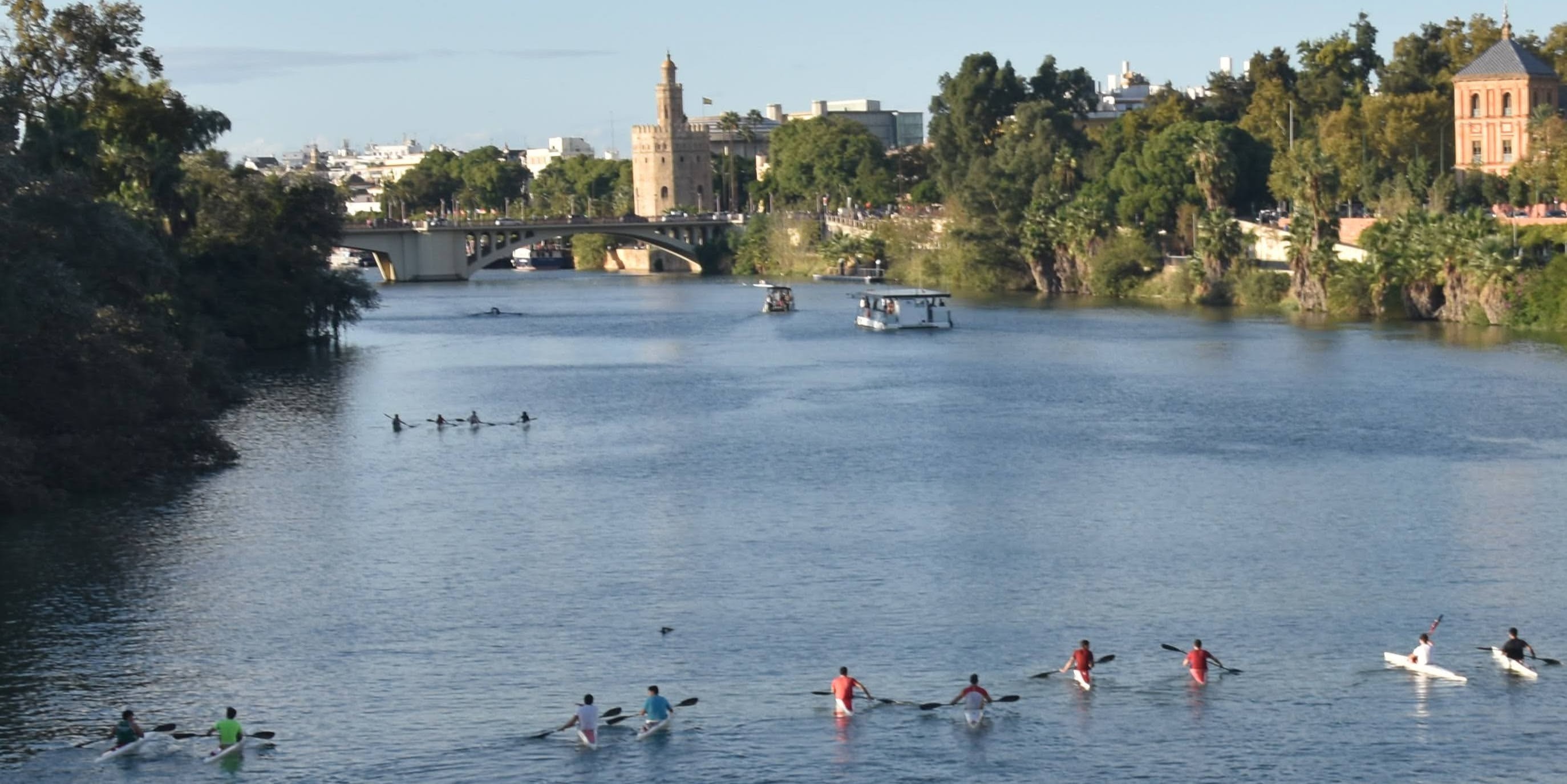 Paddlers in Guadalquivir River, with Puente de San Telmo and Torre de Oro in distance