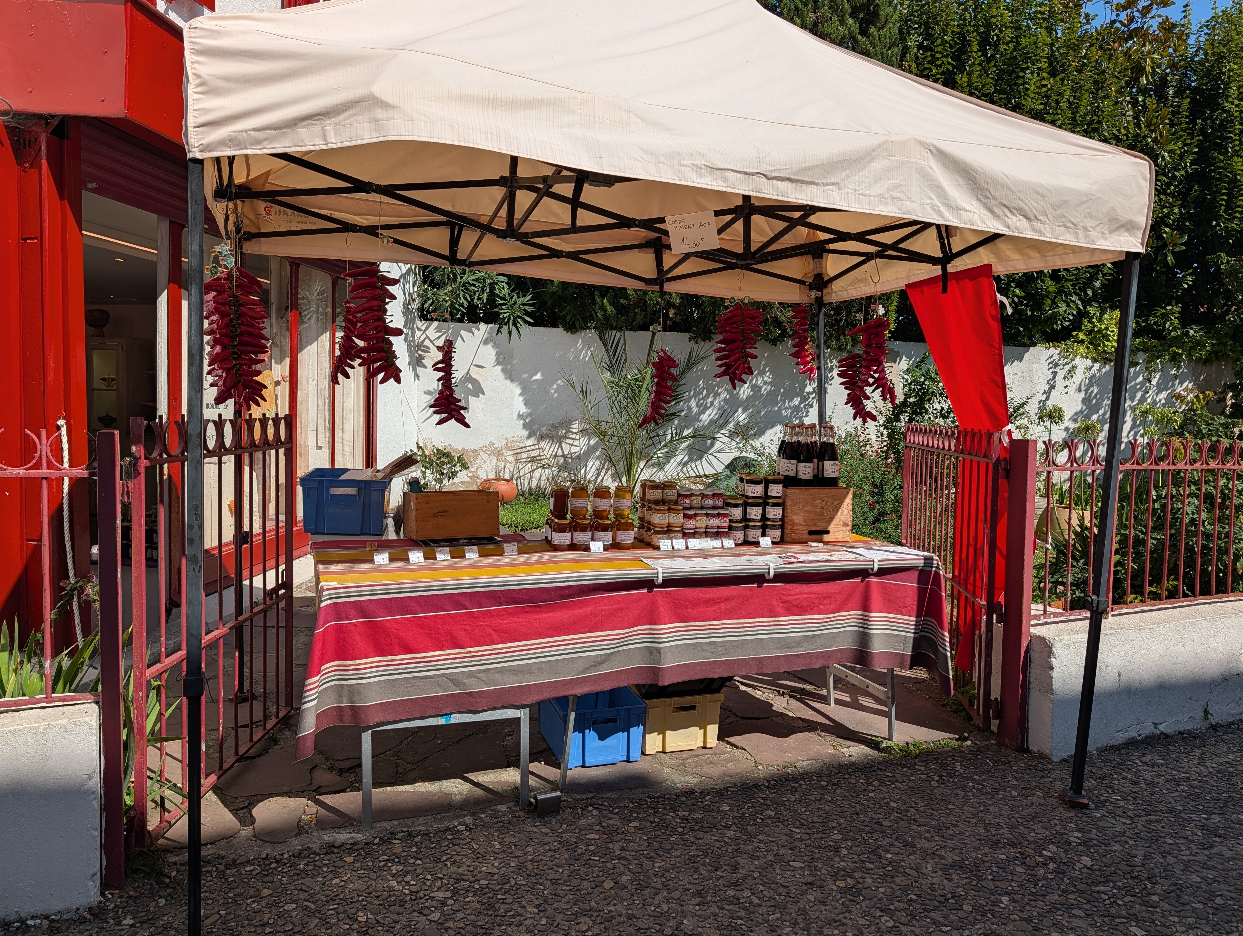 Table of peppers and more for sale