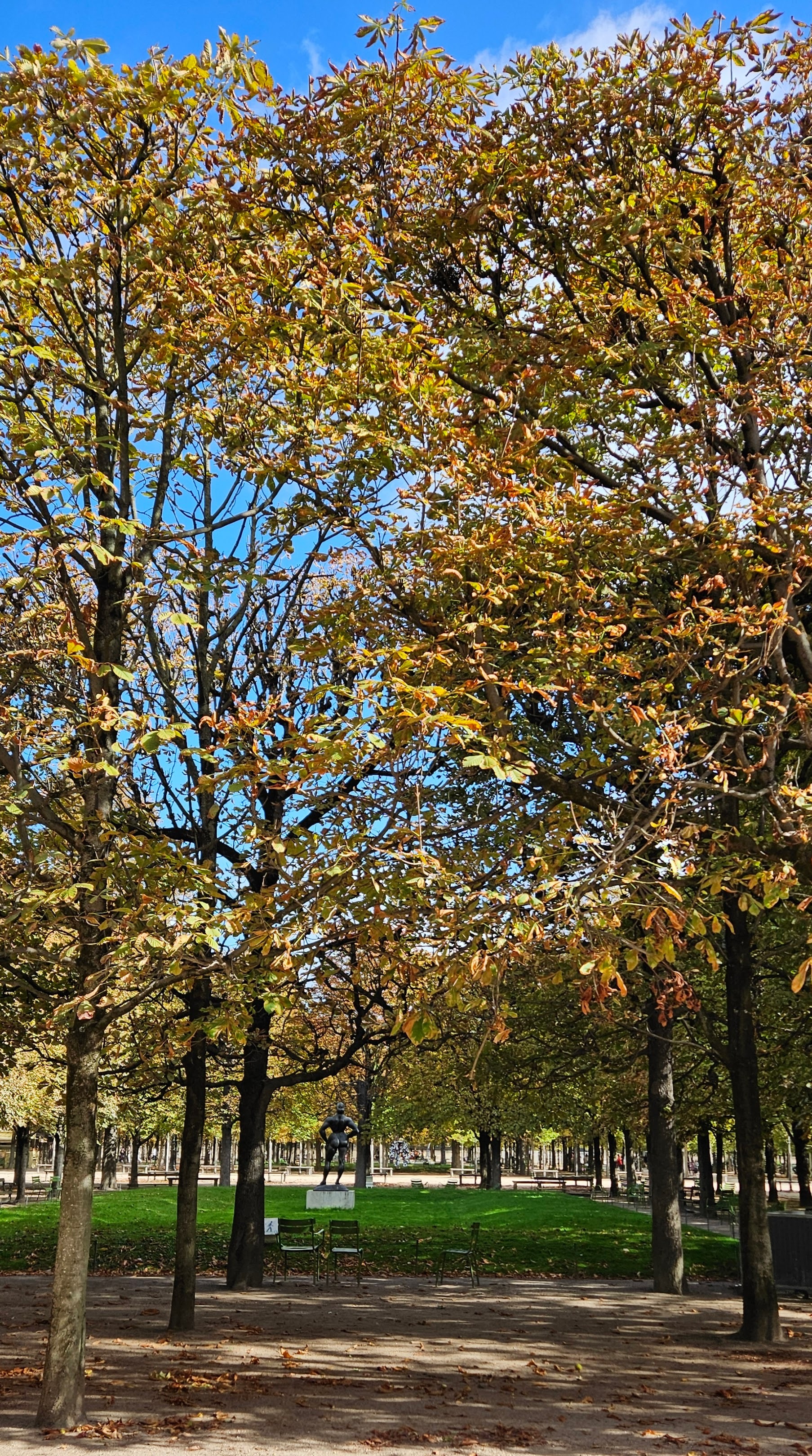 Forest with sculpture