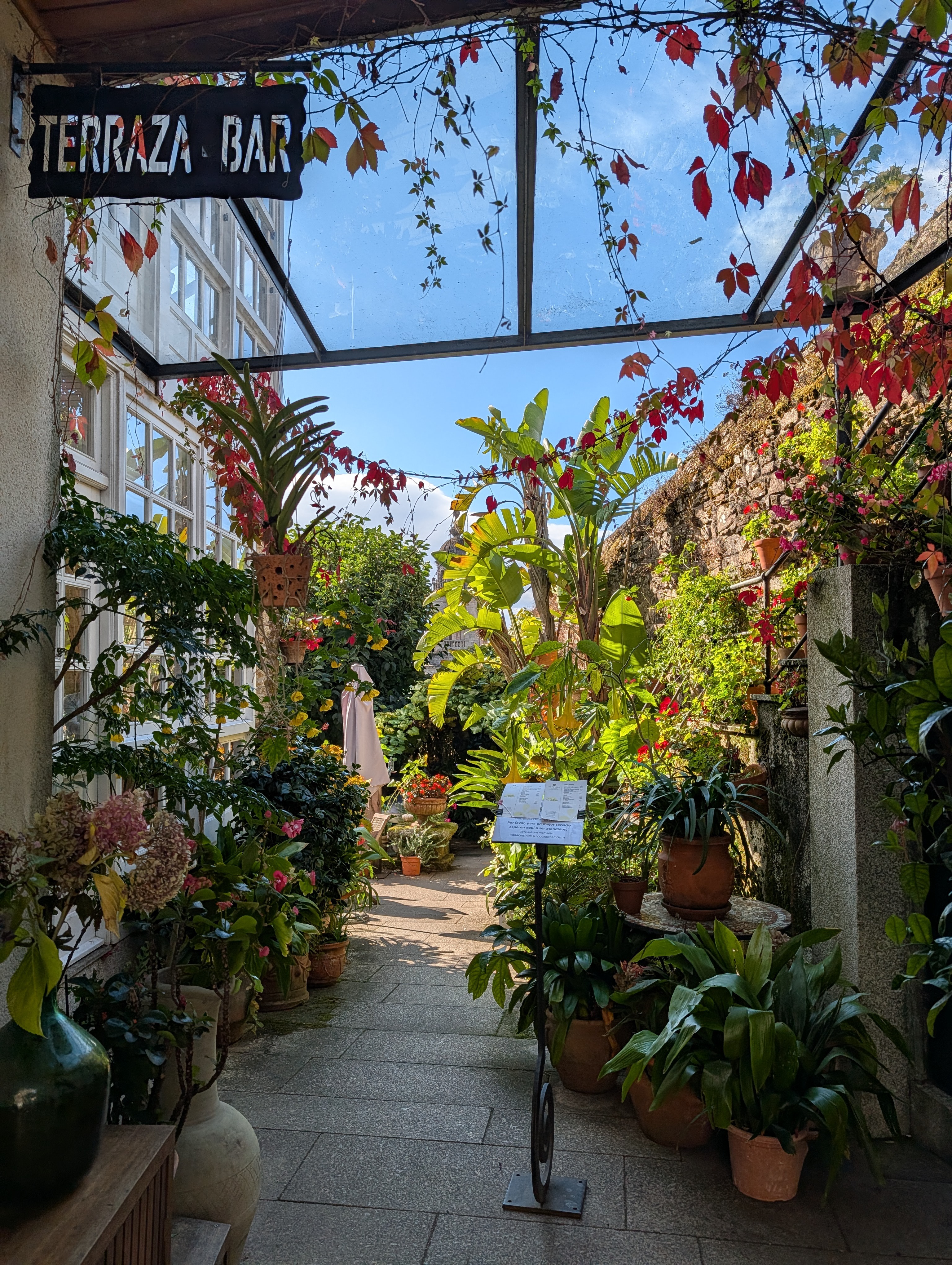 Garden of the Terraza at the Costa Vella hotel