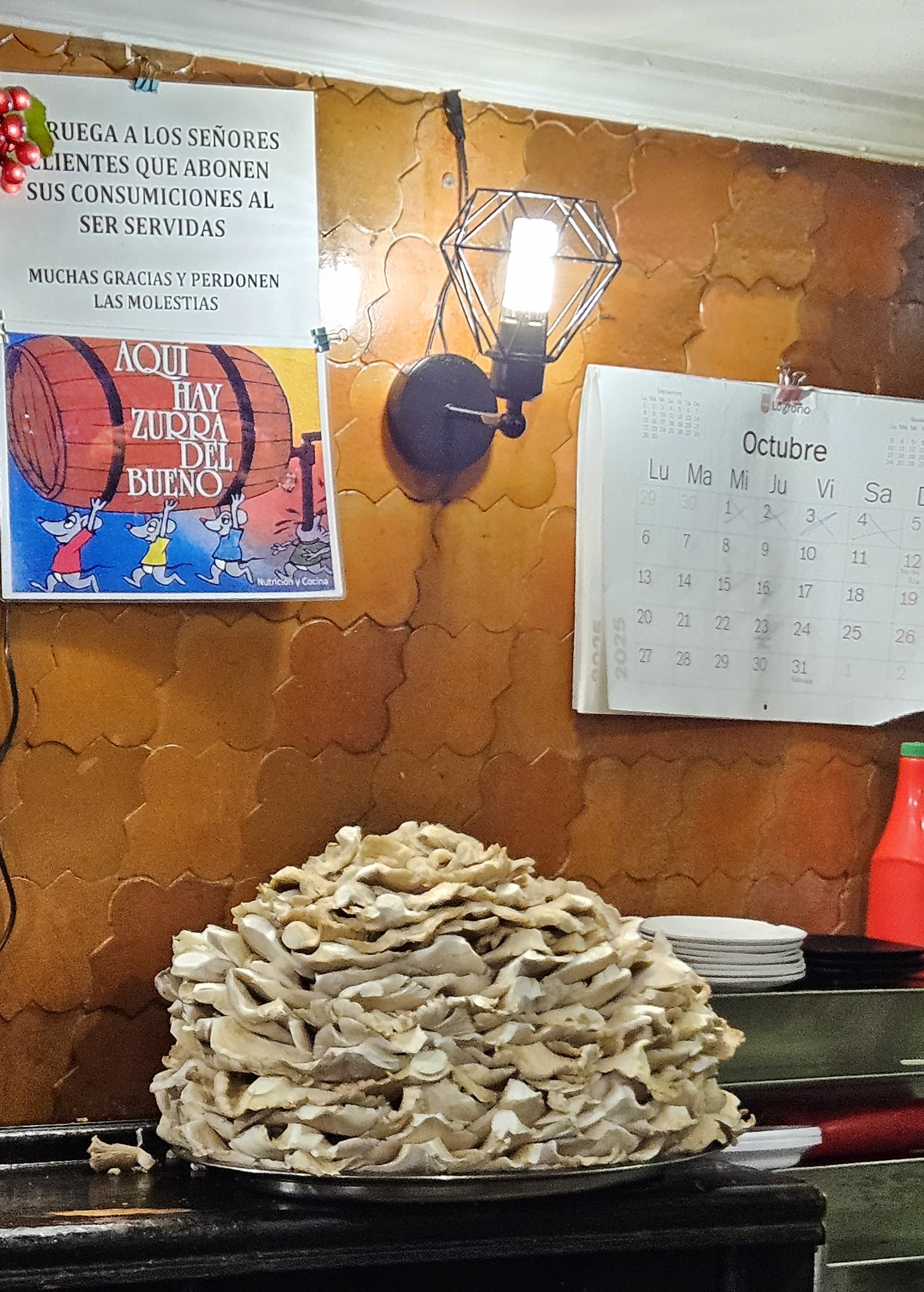 Pile of mushrooms at Bar CID