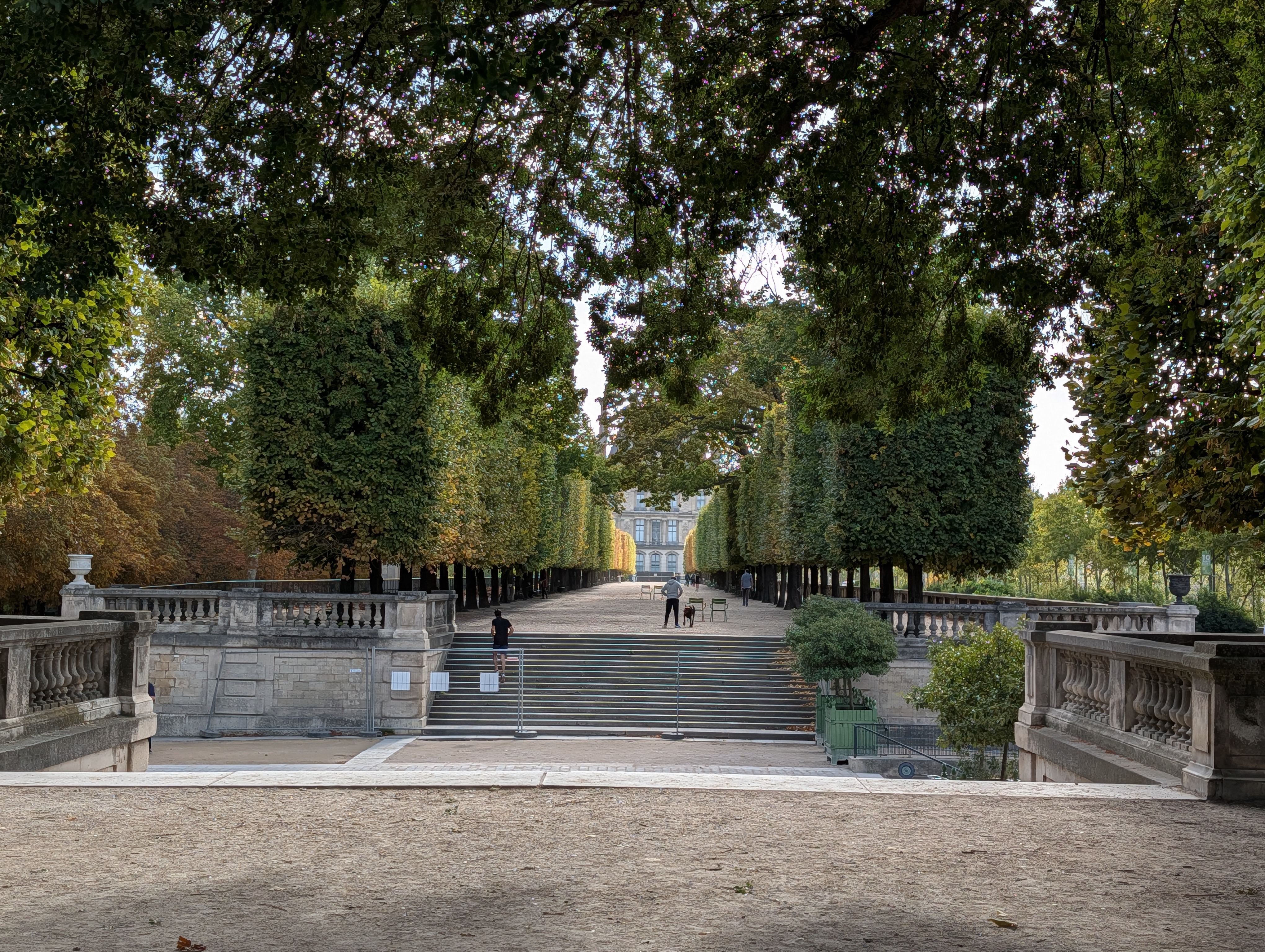 Stairs and treed walk in Jardin des Tuileries