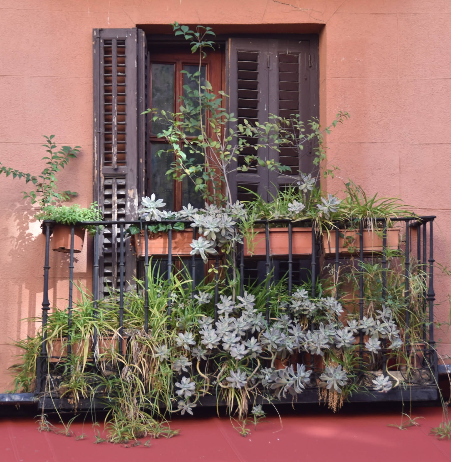 Small balcony overflowing with plants